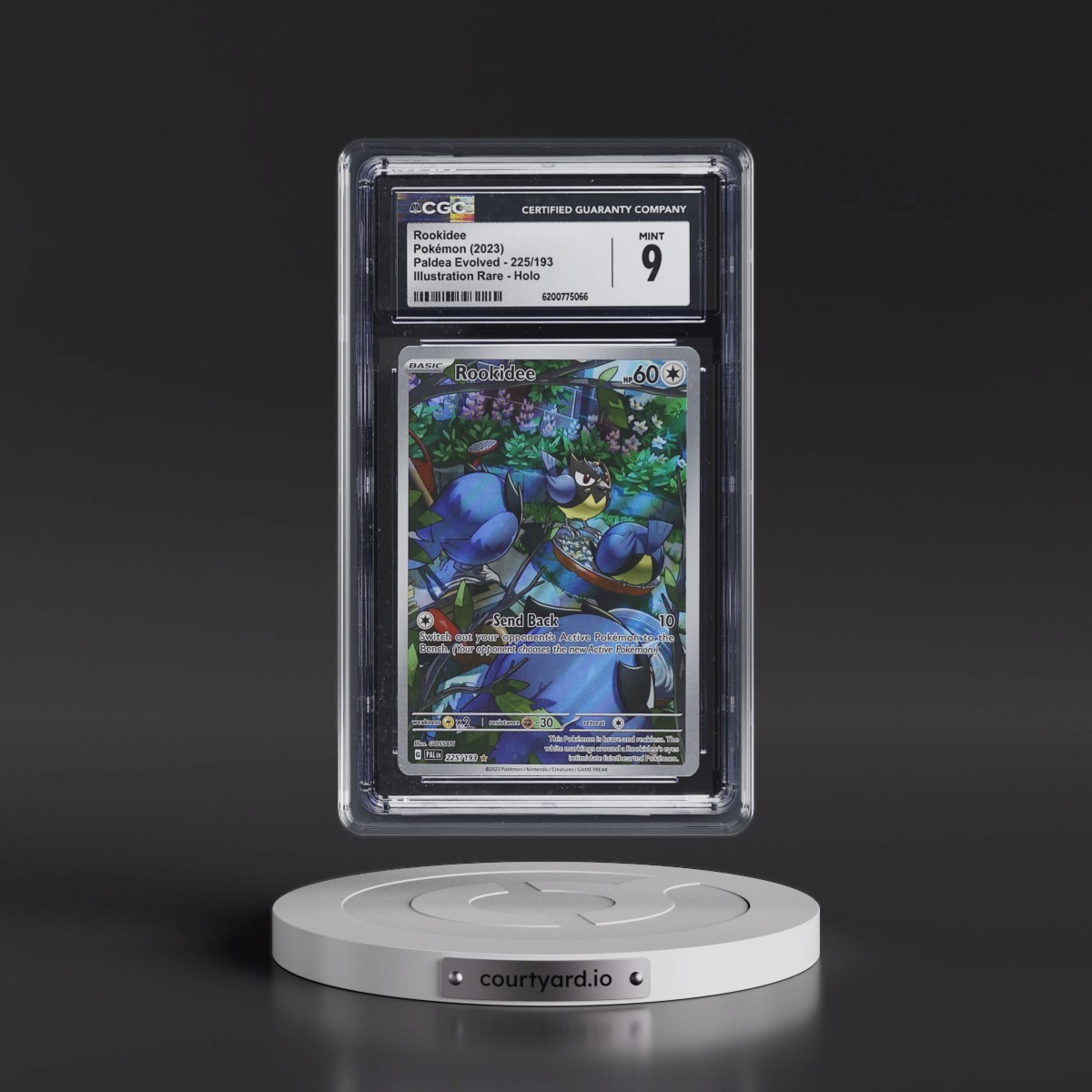 2023 Paldea Evolved - PAL EN #225/193 Rookidee - Illustration Rare Holo (CGC 9 MINT)