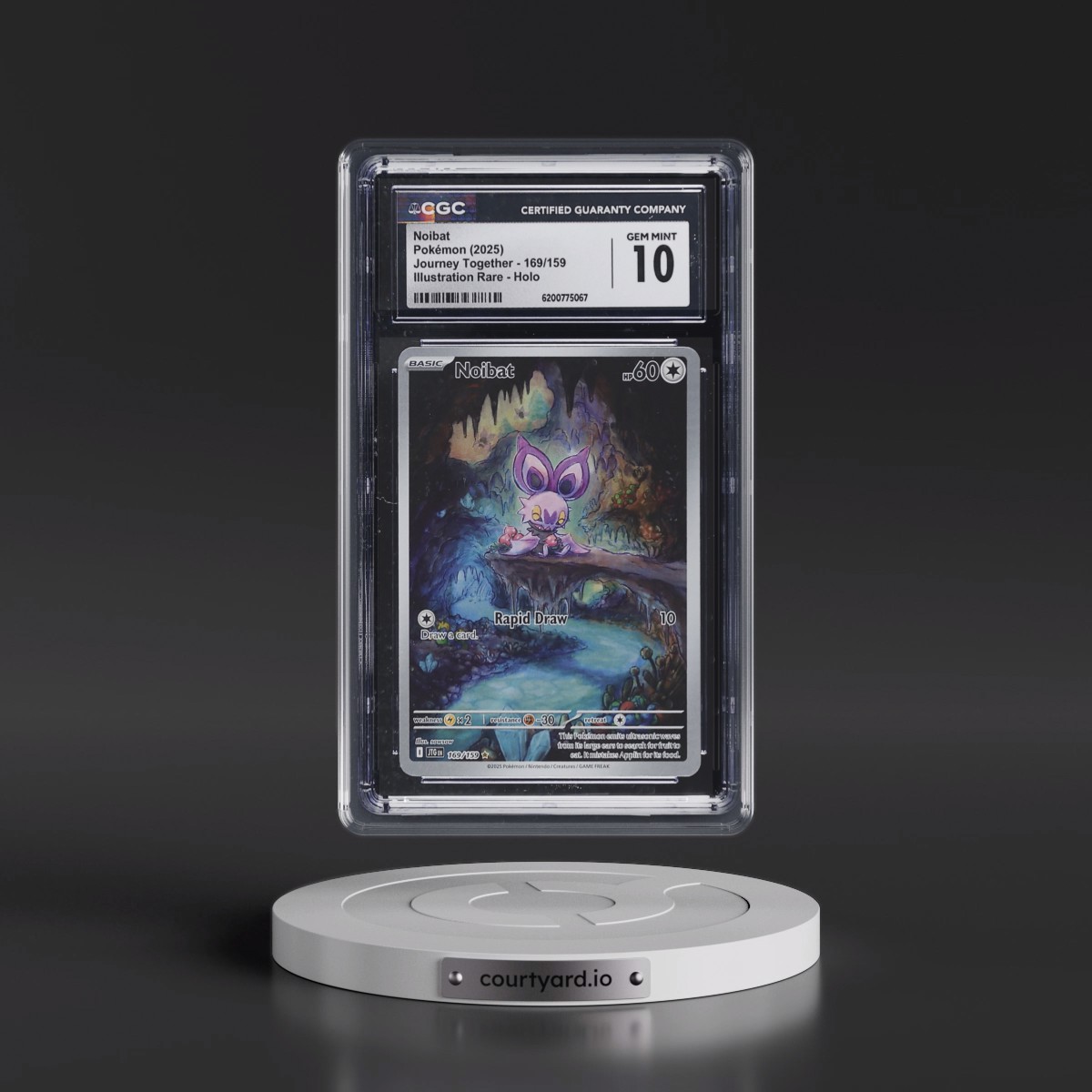 2024 Journey Together - JTG EN #169/159 Noibat - Illustration Rare Holo (CGC 10 GEM MINT)