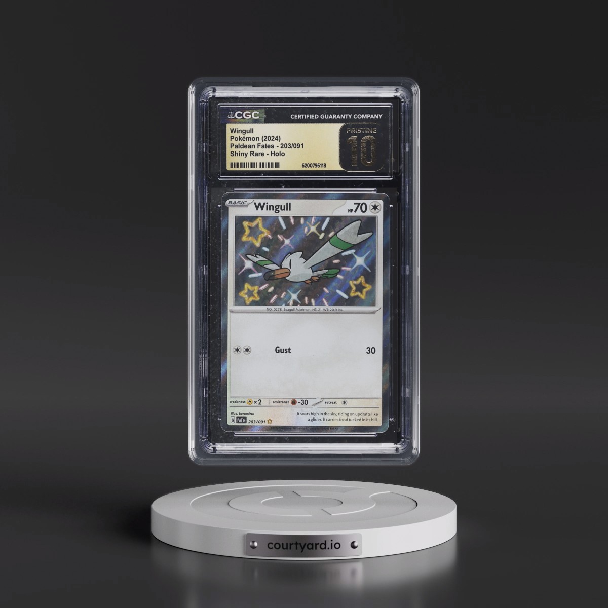 2024 Paldean Fates - PAF EN Wingull - Shiny Rare Holo #203/091 CGC 10
