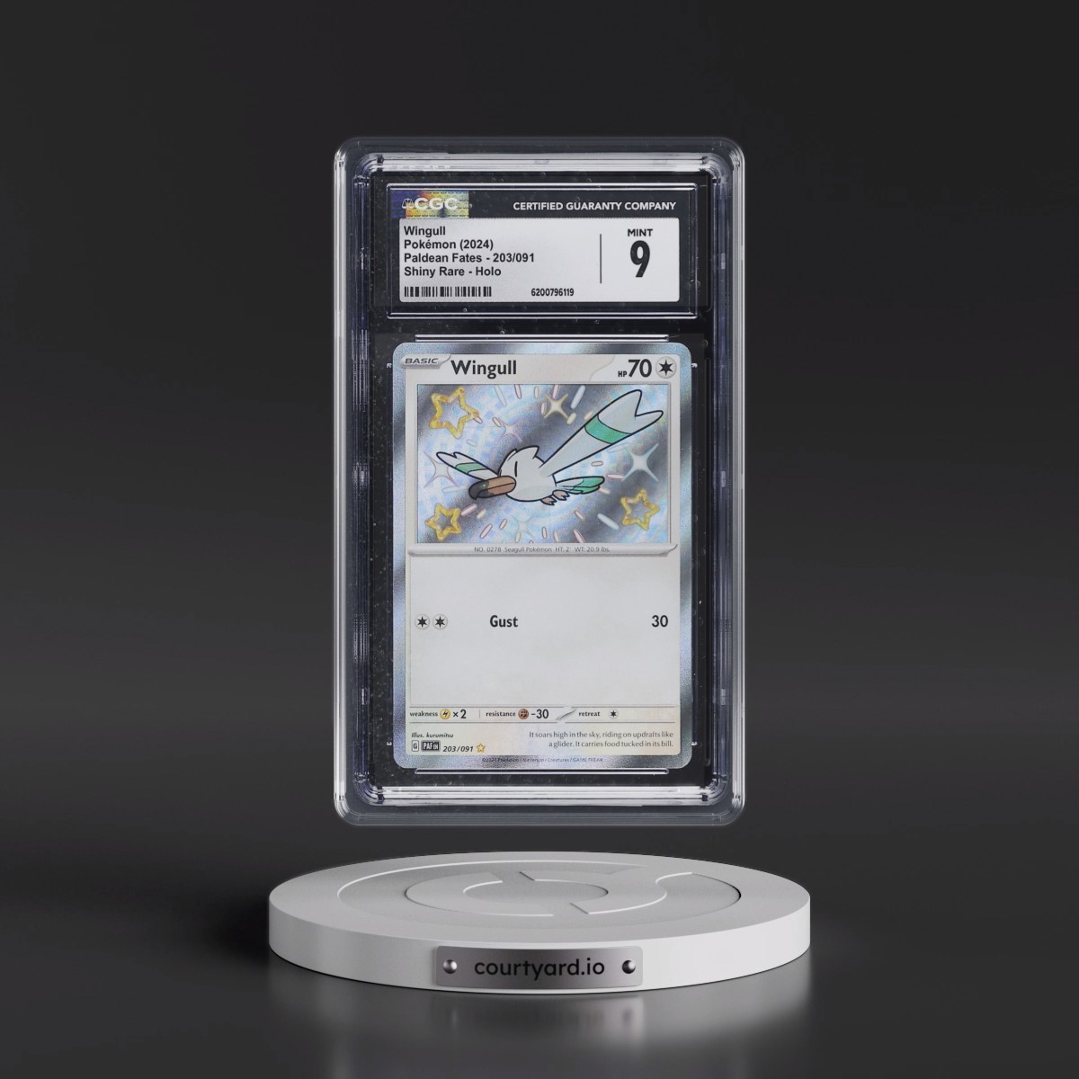 2024 Paldean Fates - PAF EN Wingull - Shiny Rare Holo #203/091 CGC 9