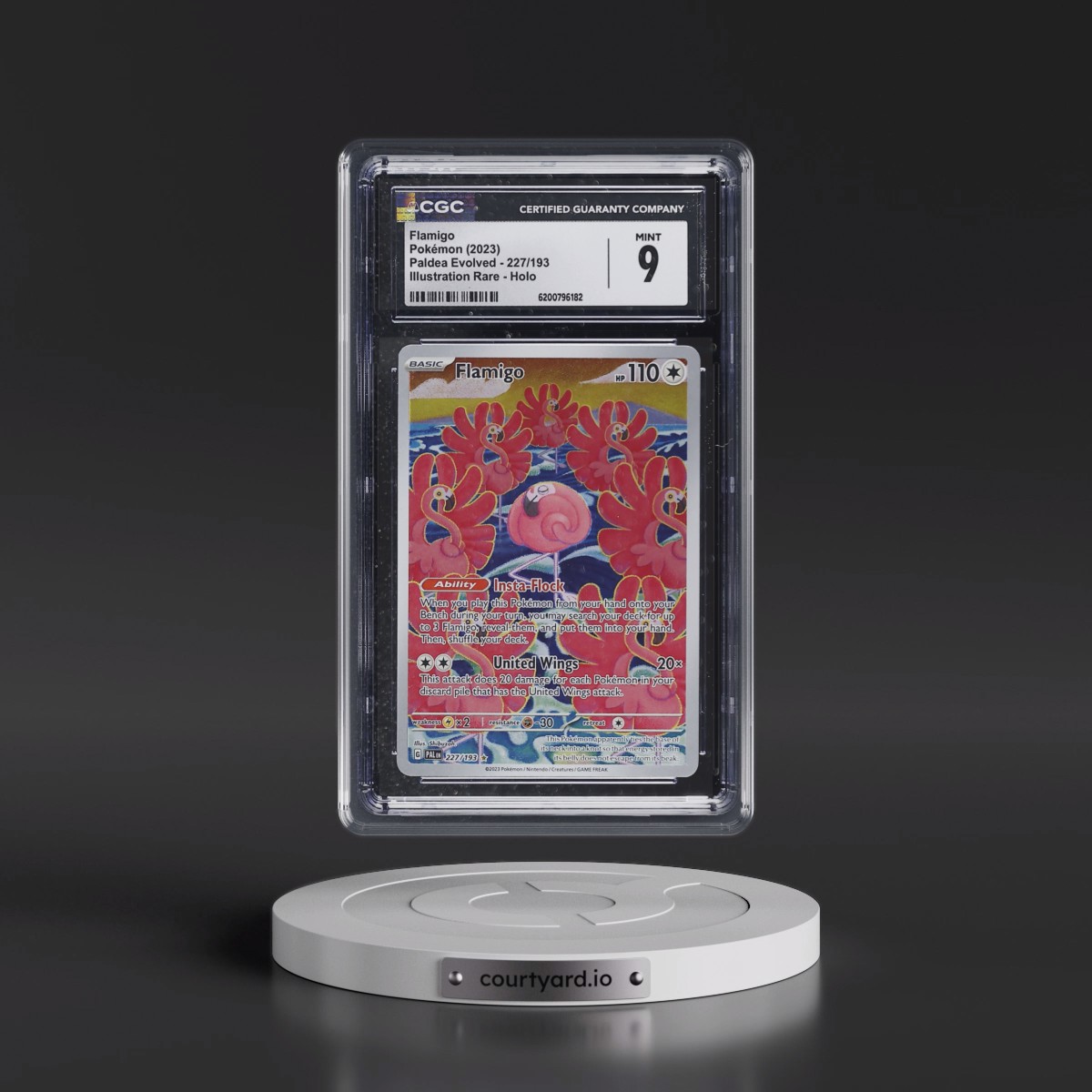 2023 Paldea Evolved - PAL EN #227/193 Flamigo - Illustration Rare Holo (CGC 9 MINT)