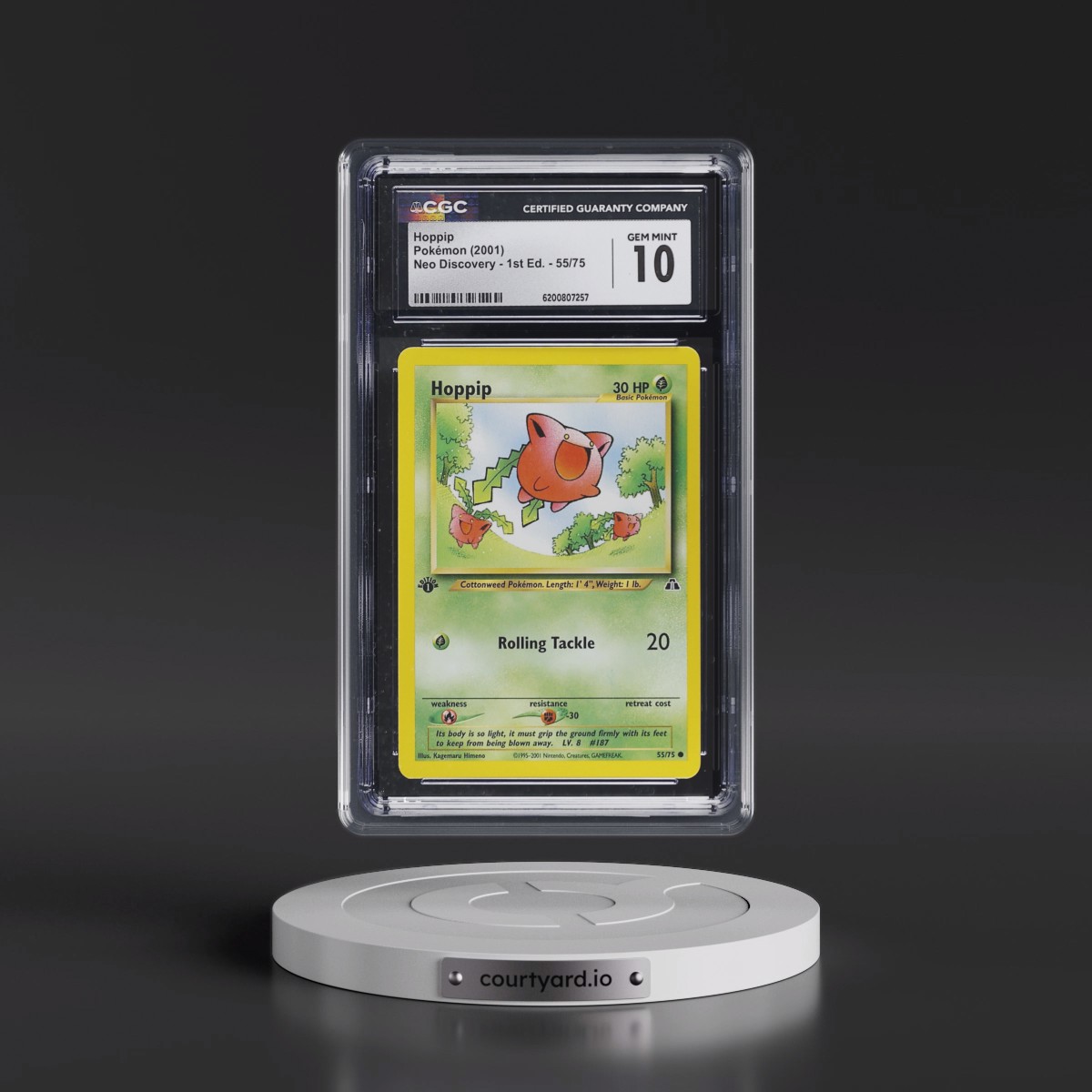 2001 Neo Discovery Hoppip - 1st Edition #55/75 CGC 10