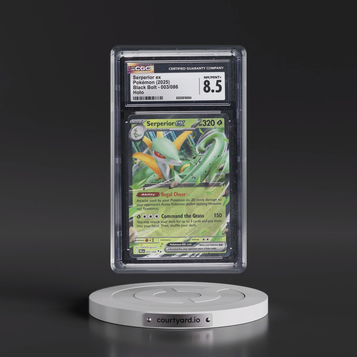 2025 Black Bolt - BLK EN #003/086 Serperior ex - Holo (CGC 8.5 NM-MT+)