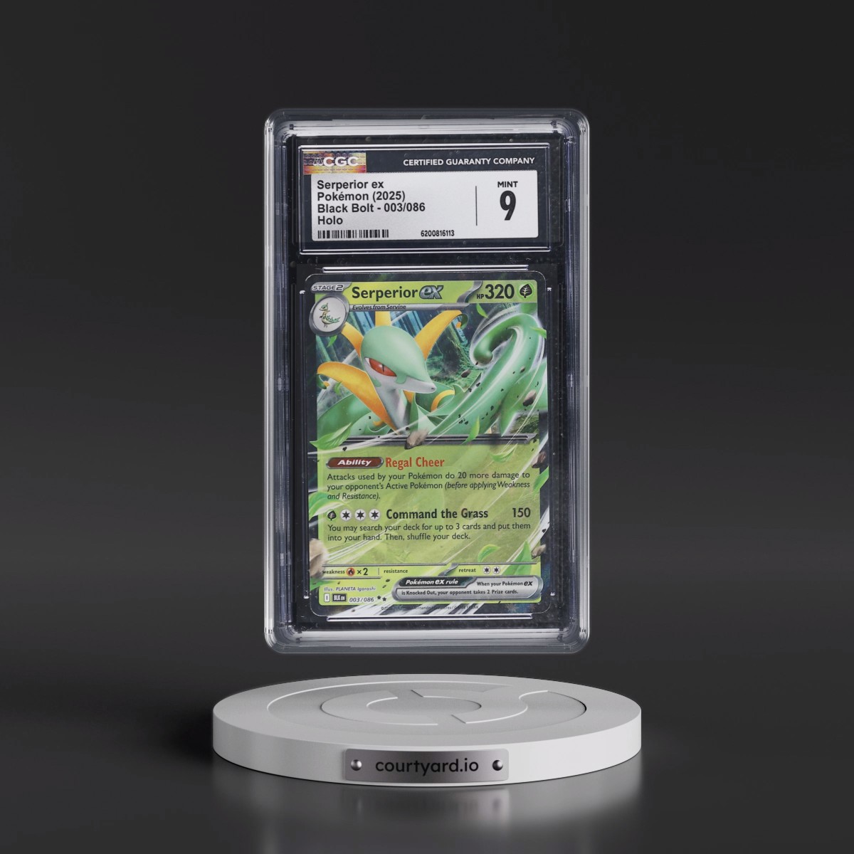 2025 Black Bolt - BLK EN Serperior ex - Holo #003/086 CGC 9
