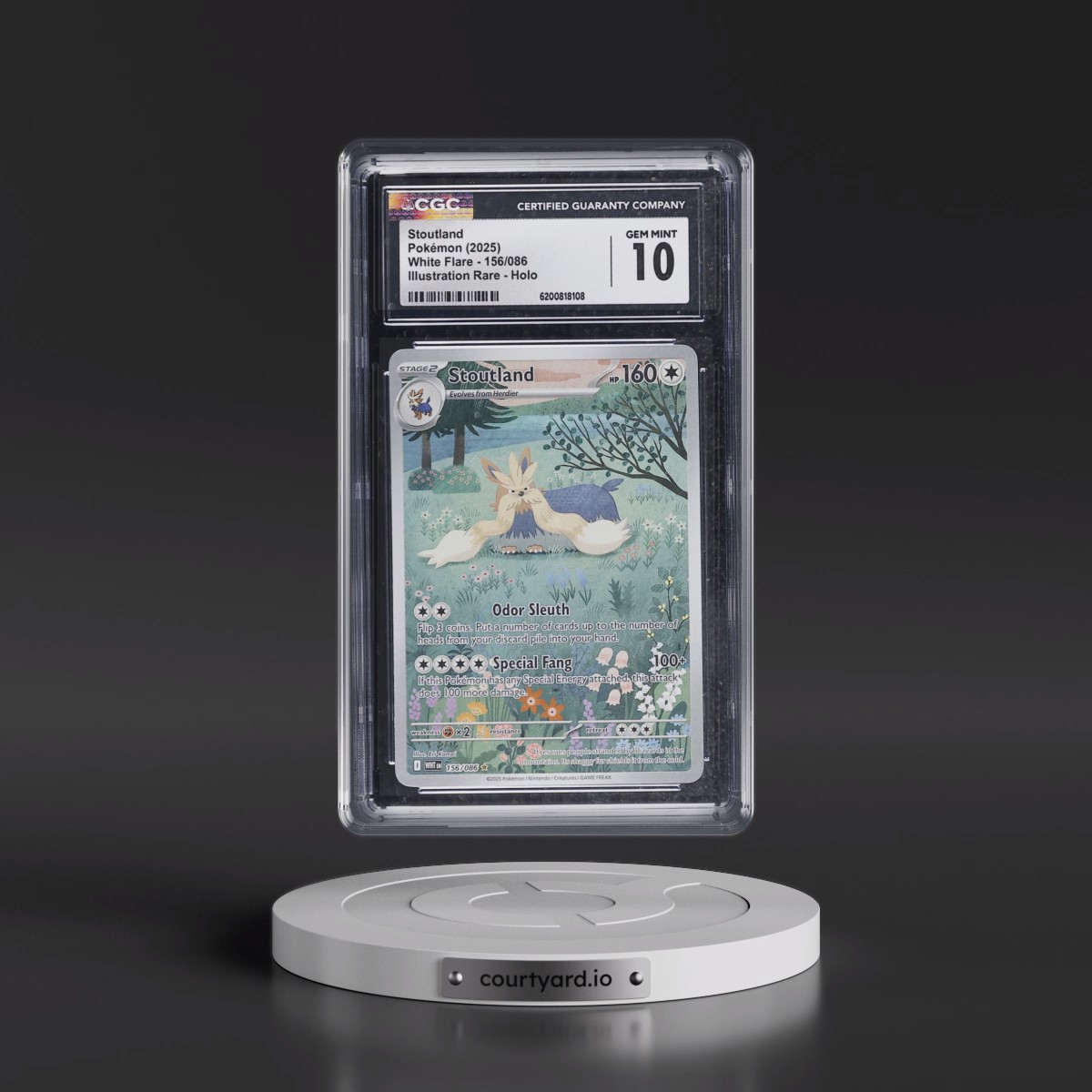 2025 White Flare - WHT EN Stoutland - Illustration Rare Holo #156/086 CGC 10