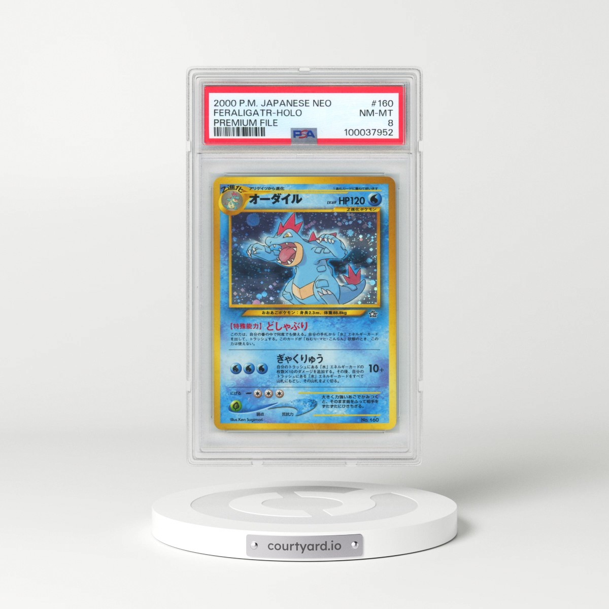 2000 Pokémon Neo #160 Feraligatr - Holo Premium File (PSA 8 NM-MT)