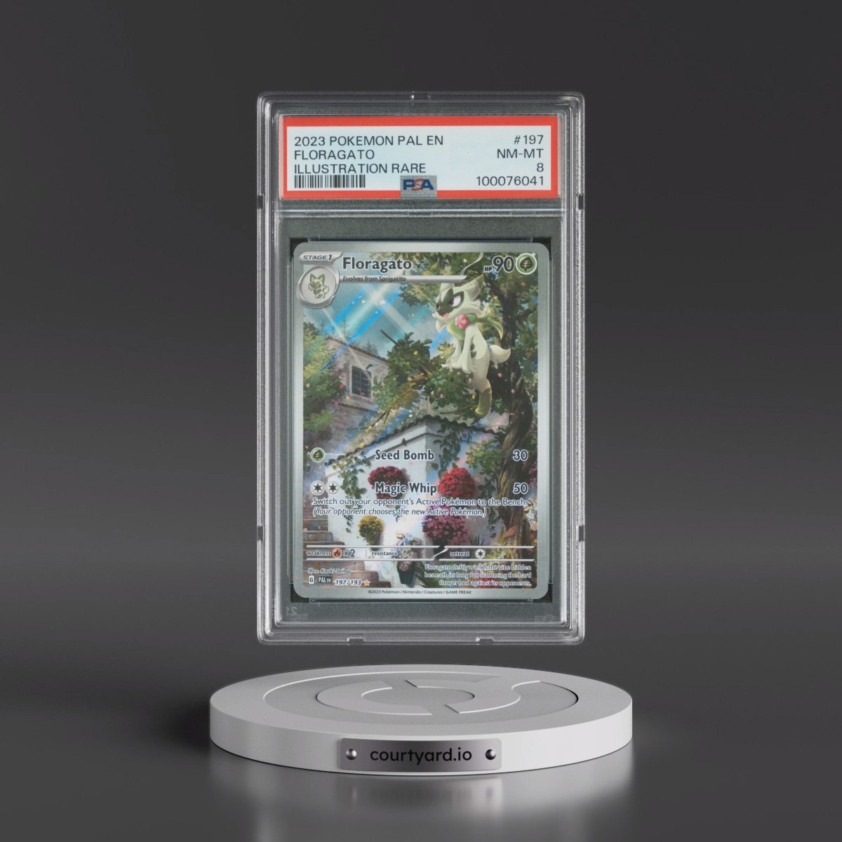 2023 Pokémon Pal EN-Paldea Evolved #197 Floragato - Illustration Rare (PSA 8 NM-MT)