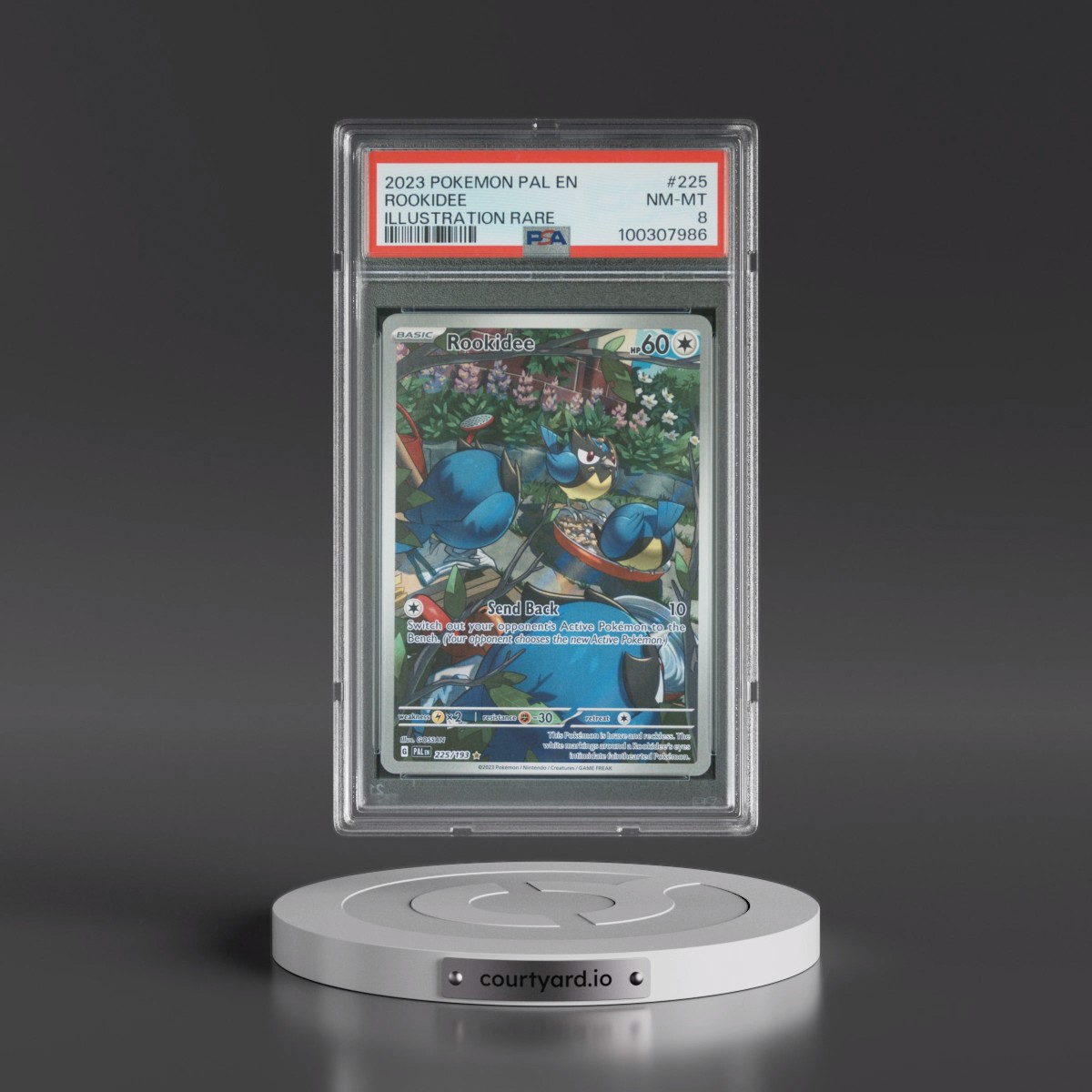 2023 Pokémon Pal EN-Paldea Evolved #225 Rookidee - Illustration Rare (PSA 8 NM-MT)