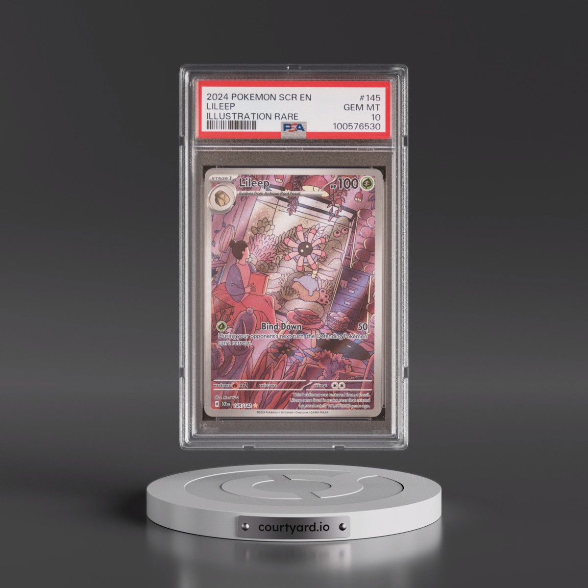 2024 Pokémon Scr EN-Stellar Crown #145 Lileep - Illustration Rare (PSA 10 GEM MINT)
