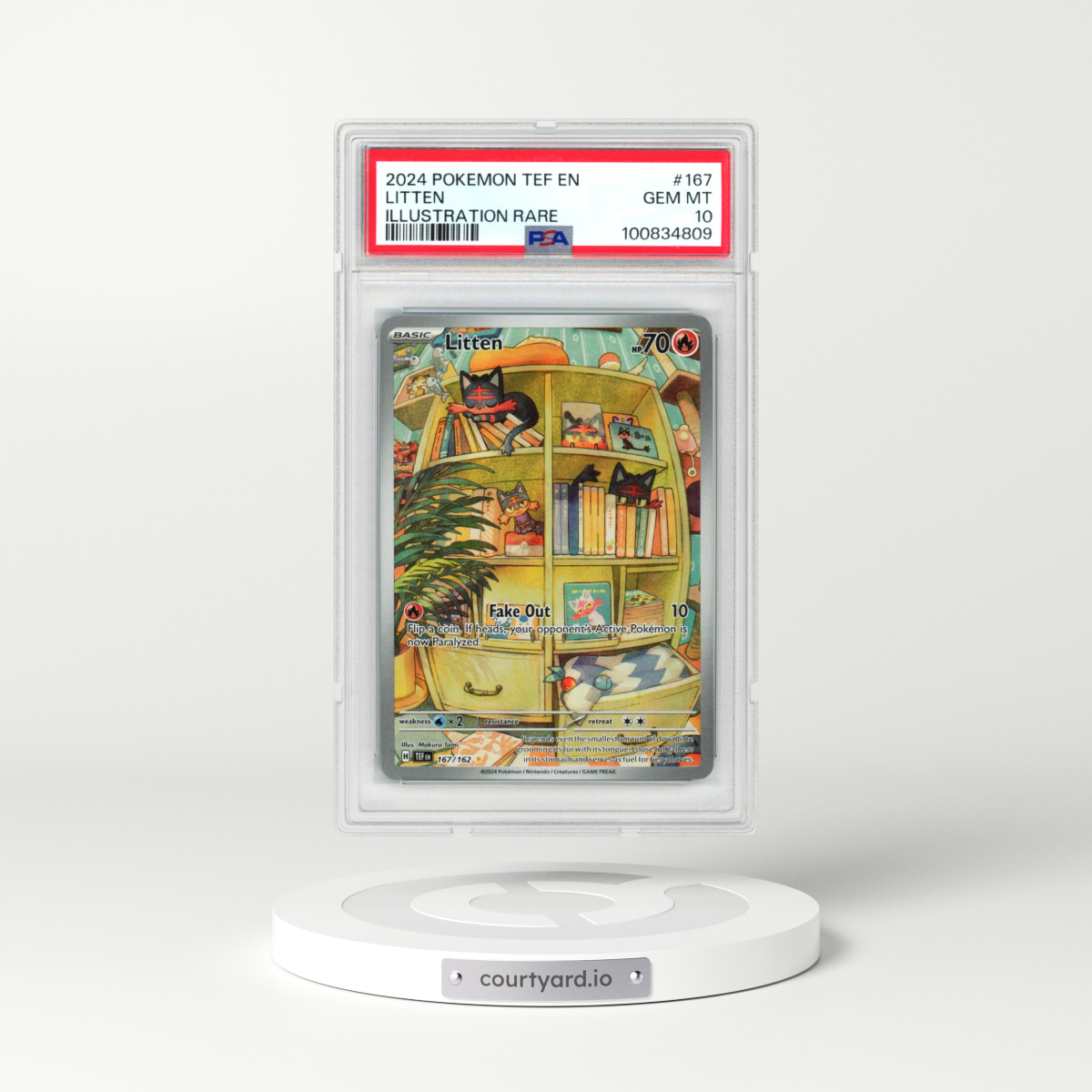 2024 Pokémon Tef EN-Temporal Forces #167 Litten - Illustration Rare (PSA 10 GEM MINT)