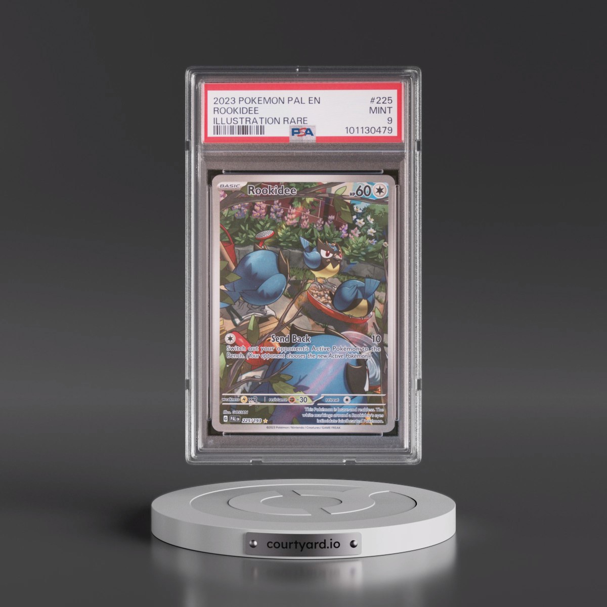 2023 Pokémon Pal EN-Paldea Evolved #225 Rookidee - Illustration Rare (PSA 9 MINT)