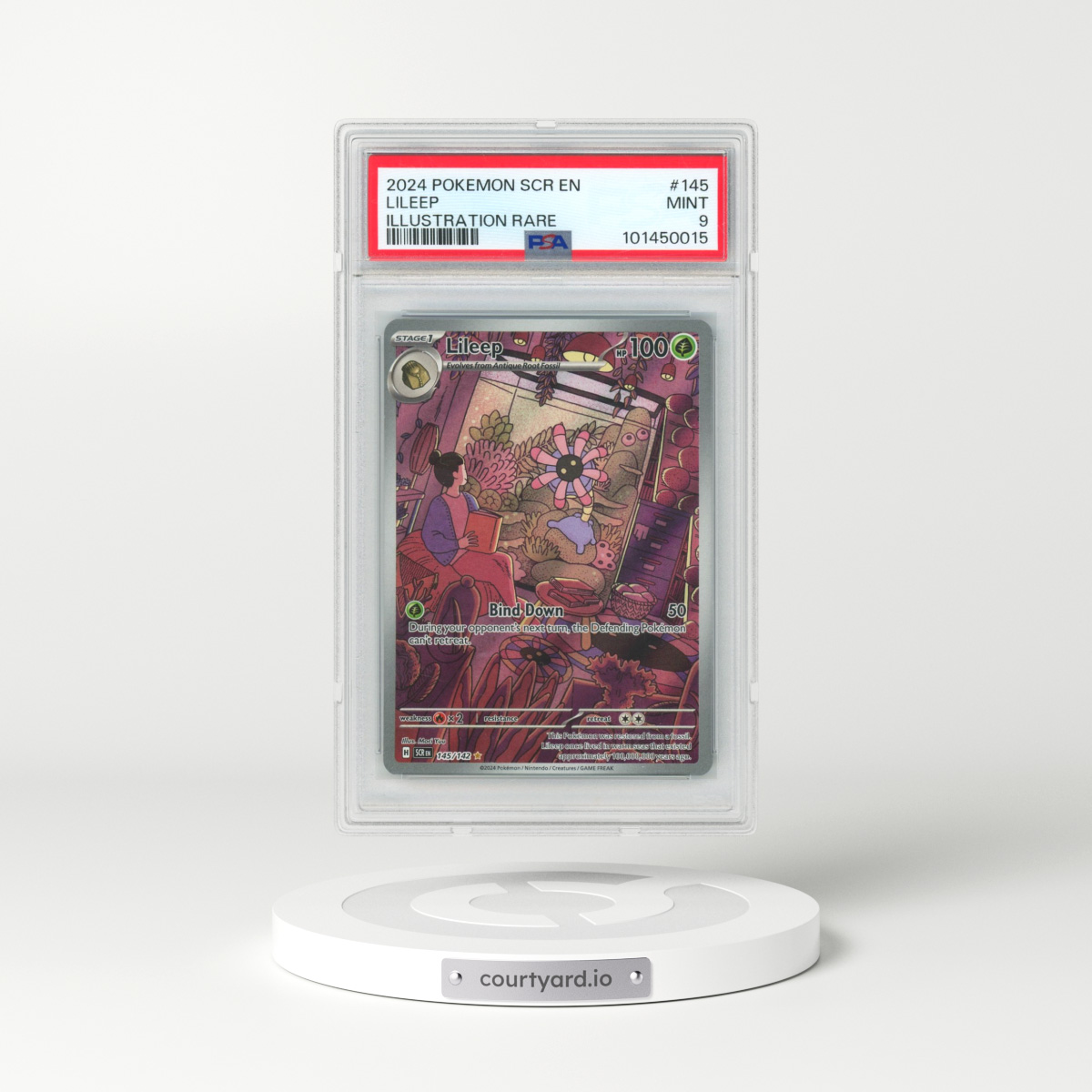 2024 Pokémon Scr EN-Stellar Crown #145 Lileep - Illustration Rare (PSA 9 MINT)