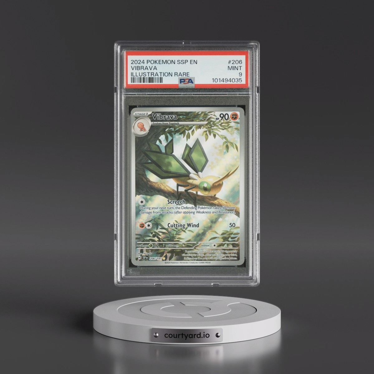 2024 Pokémon Ssp EN-Surging Sparks #206 Vibrava - Illustration Rare (PSA 9 MINT)