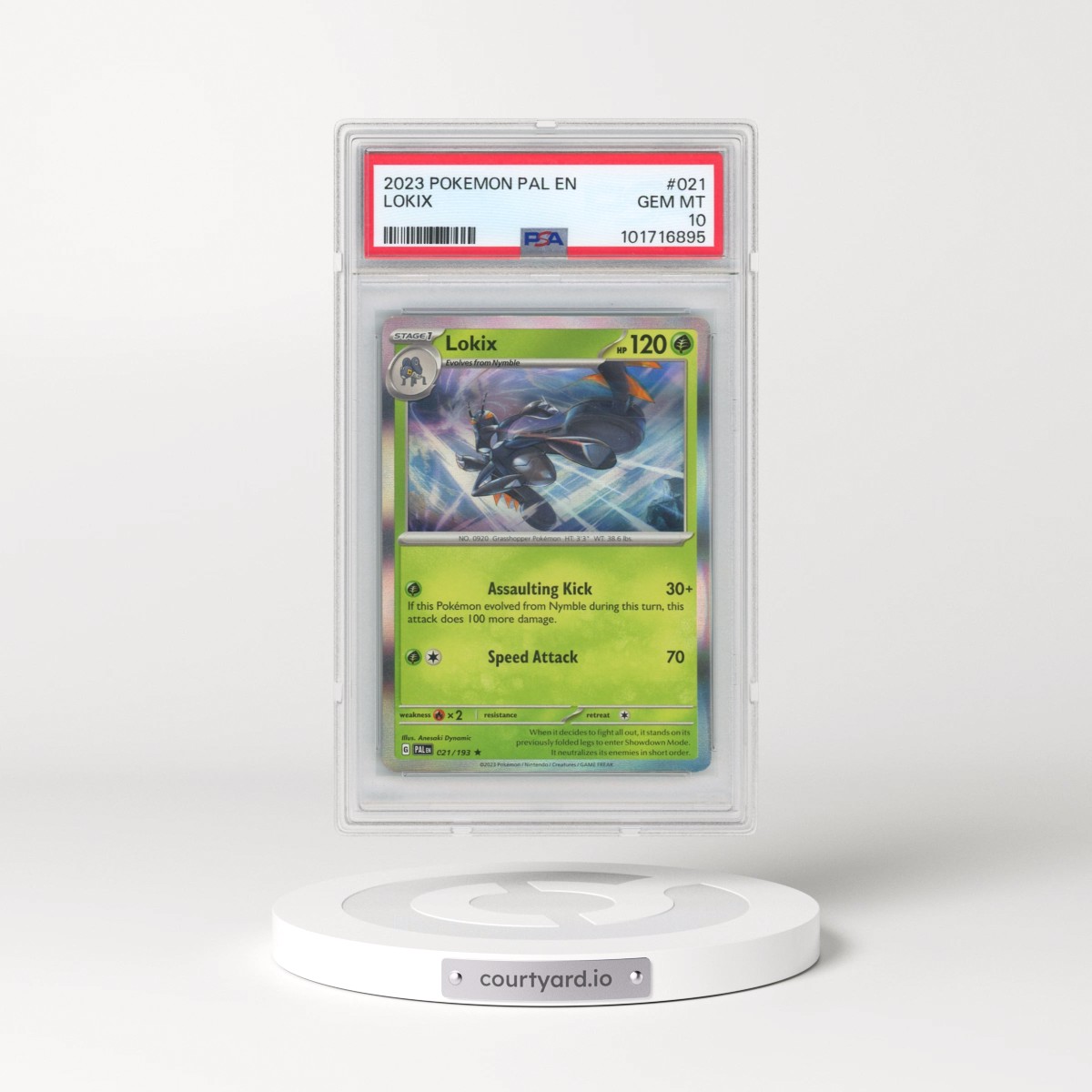 2023 Pokémon Pal EN-Paldea Evolved #021 Lokix (PSA 10 GEM MINT)