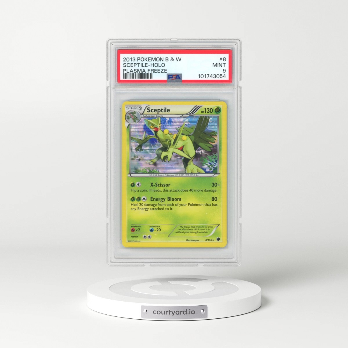 2013 Pokémon Black & White Plasma Freeze #8 Sceptile - Holo (PSA 9 MINT)