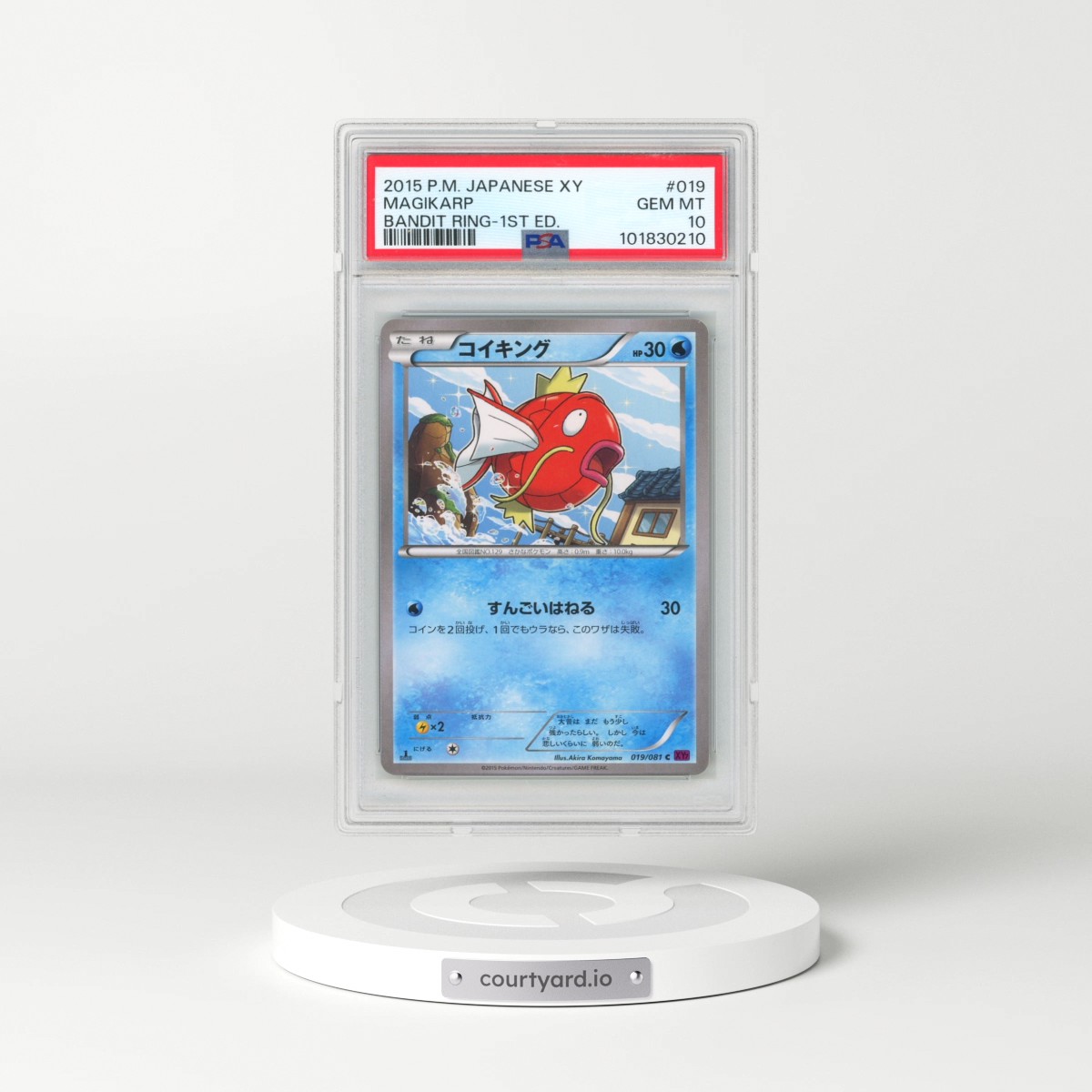 2015 Pokémon XY Bandit Ring #019 Magikarp - 1st Edition (PSA 10 GEM MINT)