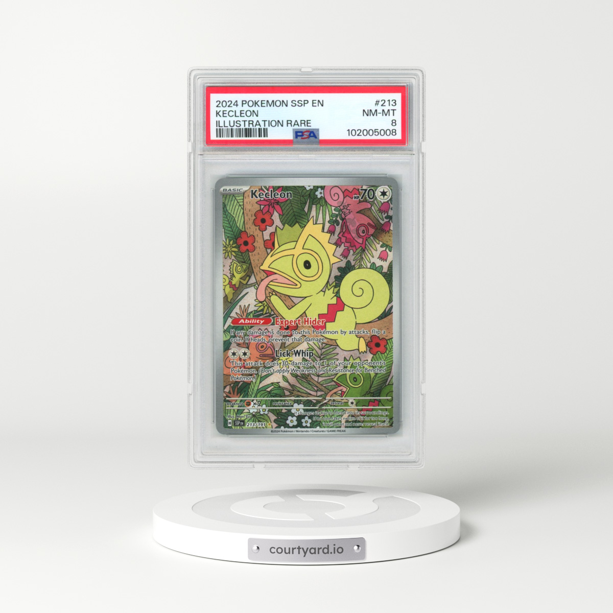 2024 Pokémon Ssp EN-Surging Sparks #213 Kecleon - Illustration Rare (PSA 8 NM-MT)