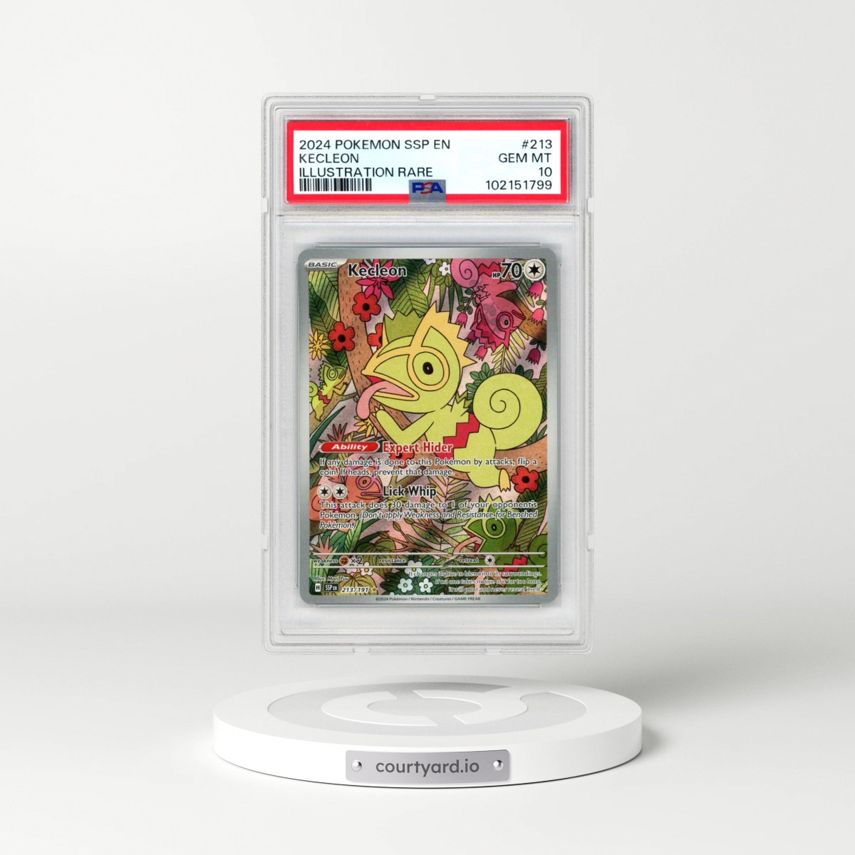2024 Pokémon Ssp EN-Surging Sparks #213 Kecleon - Illustration Rare (PSA 10 GEM MINT)