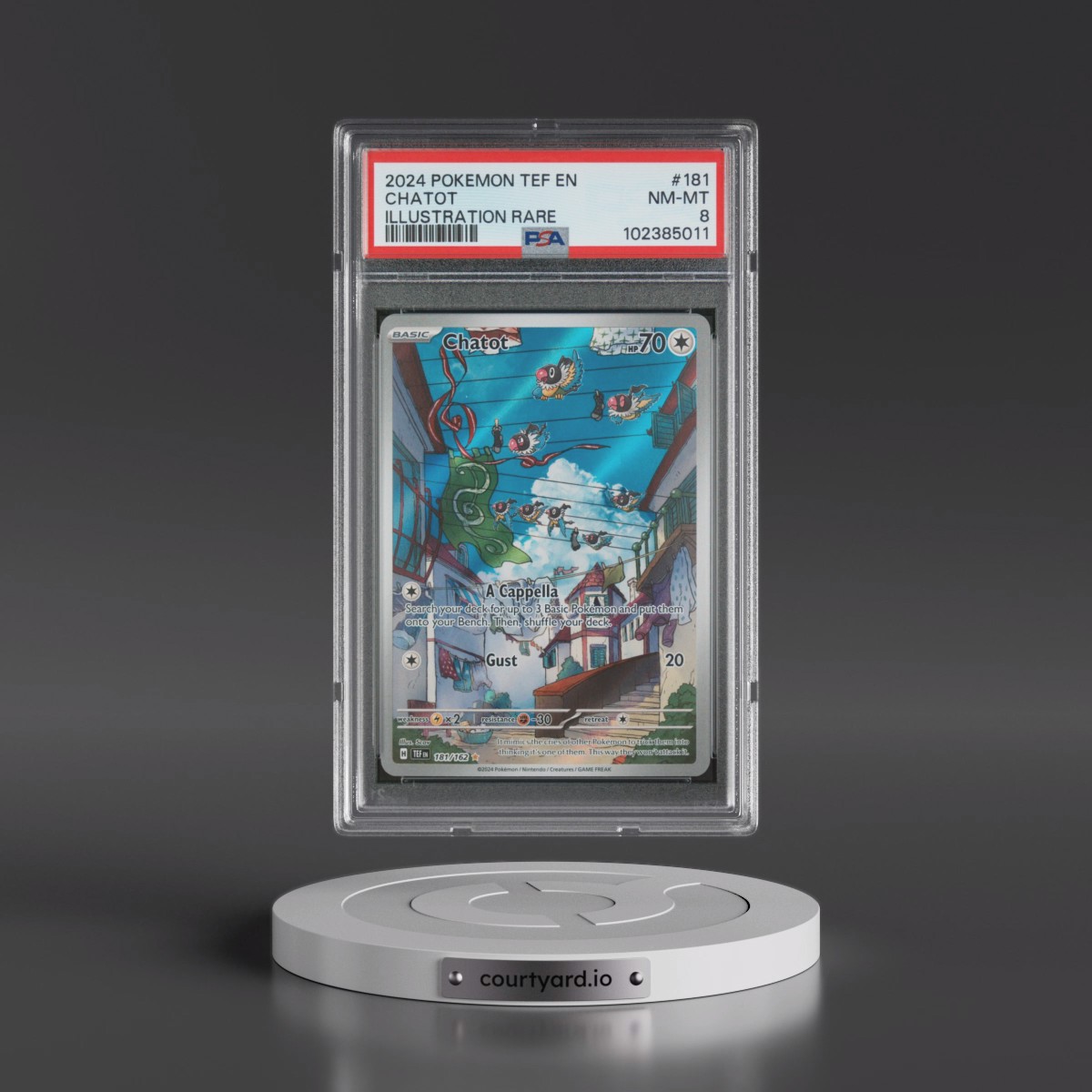 2024 Pokémon Tef EN-Temporal Forces #181 Chatot - Illustration Rare (PSA 8 NM-MT)