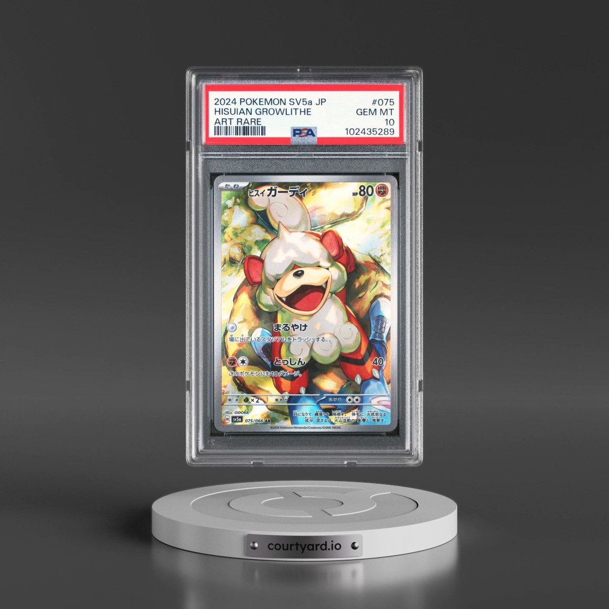 2024 Pokémon Sv5a-Crimson Haze #075 Hisuian Growlithe - Art Rare (PSA 10 GEM MINT)