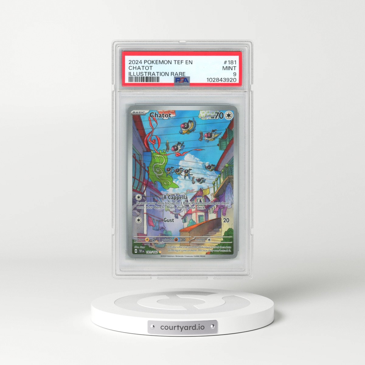 2024 Pokémon Tef EN-Temporal Forces #181 Chatot - Illustration Rare (PSA 9 MINT)