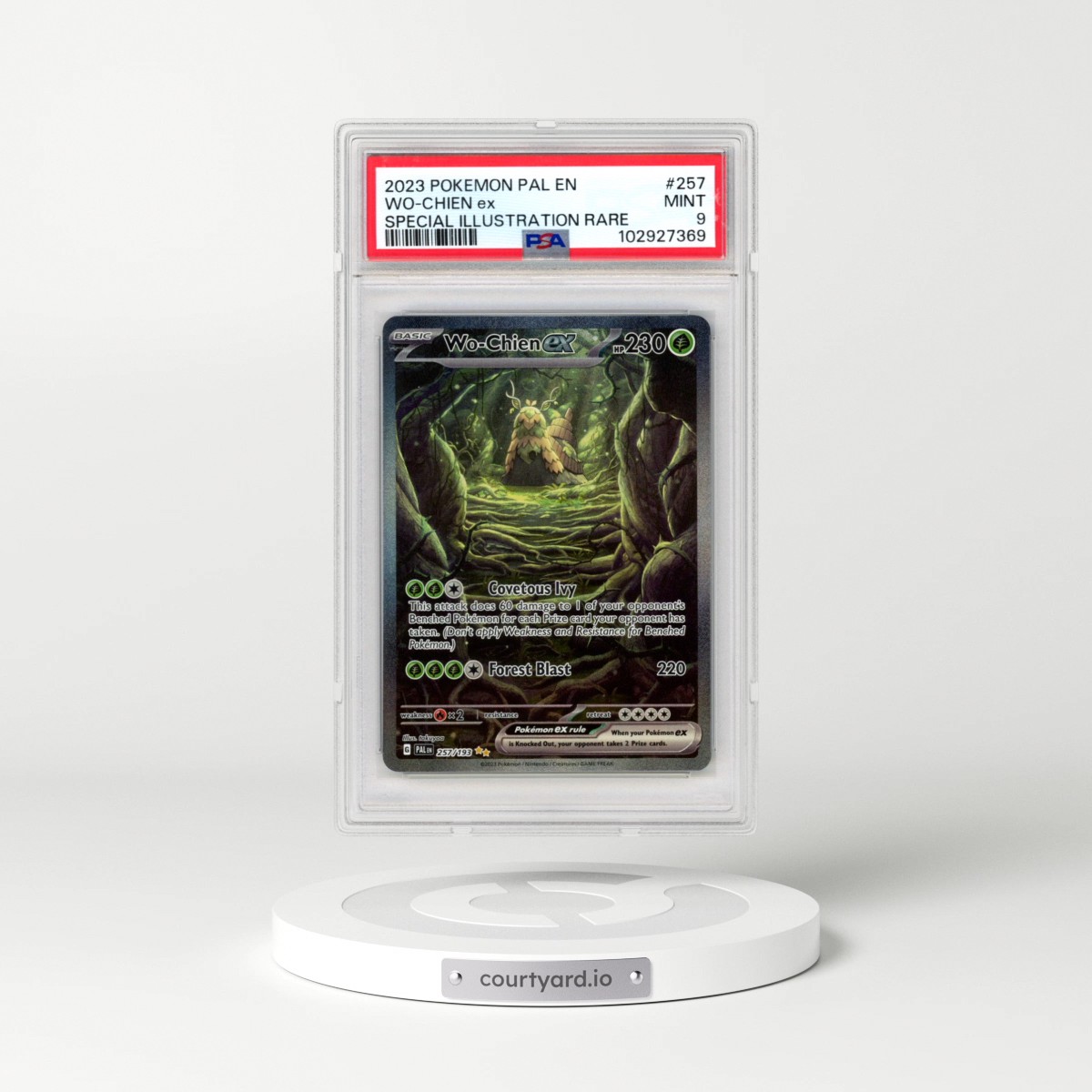 2023 Pokémon Pal EN-Paldea Evolved #257 WO-Chien EX - Holo Special Illustration Rare (PSA 9 MINT)