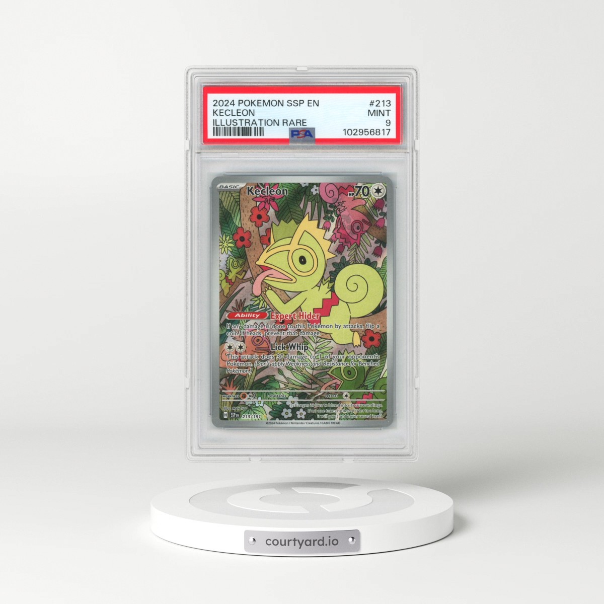 2024 Pokémon Ssp EN-Surging Sparks #213 Kecleon - Illustration Rare (PSA 9 MINT)