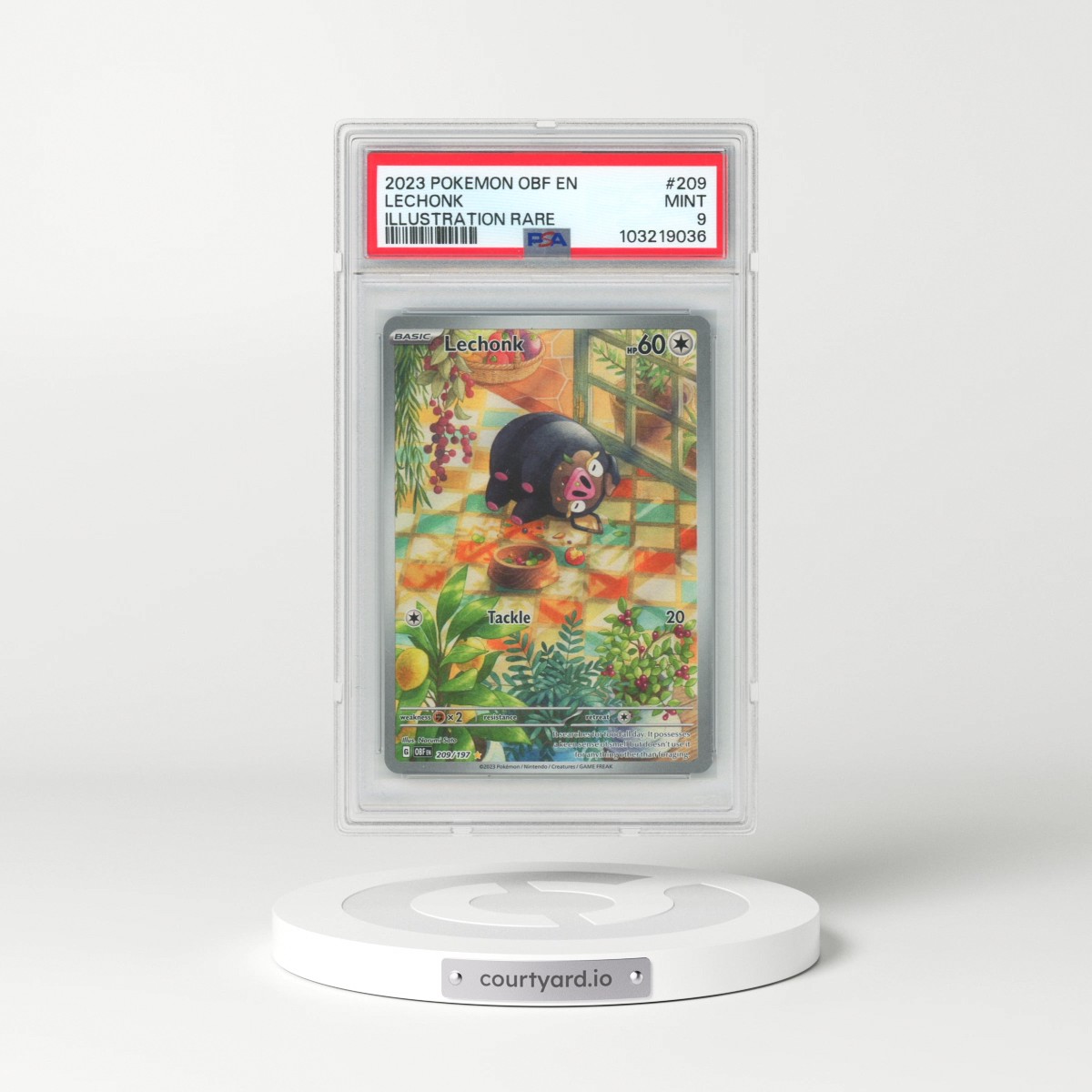 2023 Pokémon Obf EN-Obsidian Flames #209 Lechonk - Illustration Rare (PSA 9 MINT)