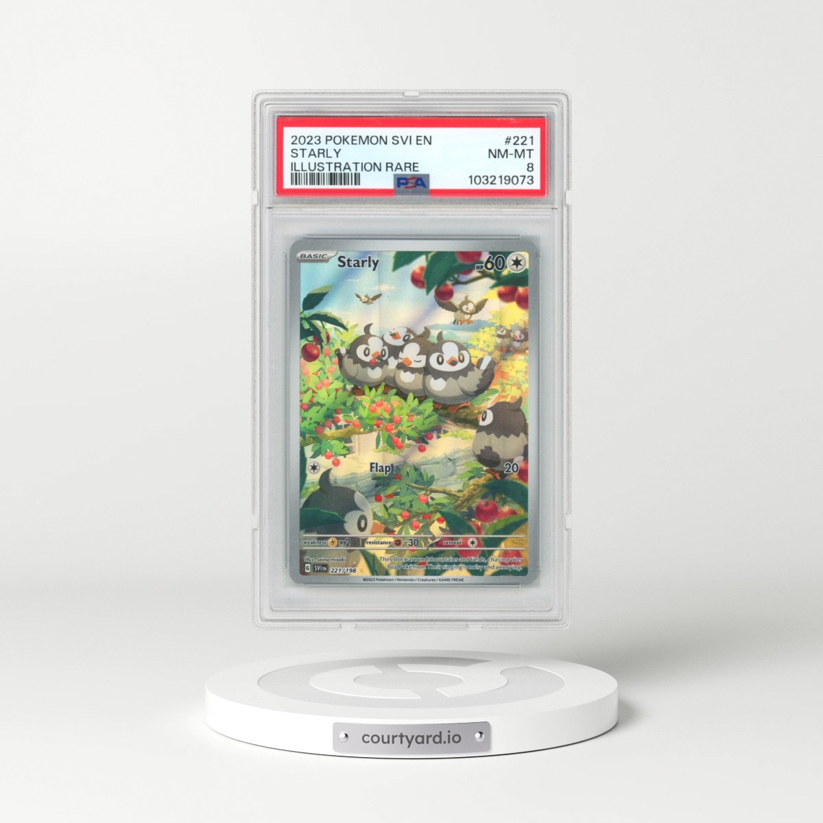 2023 Pokémon Svi EN-Scarlet & Violet #221 Starly - Illustration Rare (PSA 8 NM-MT)