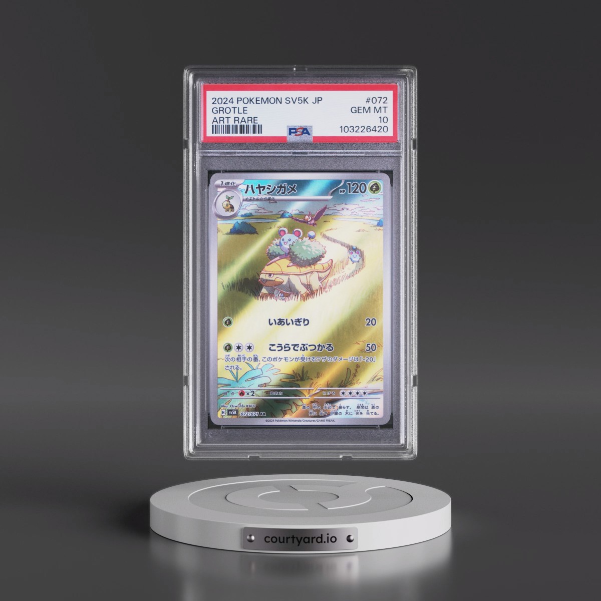 2024 Pokémon Sv5k-Wild Force #072 Grotle - Art Rare (PSA 10 GEM MINT)