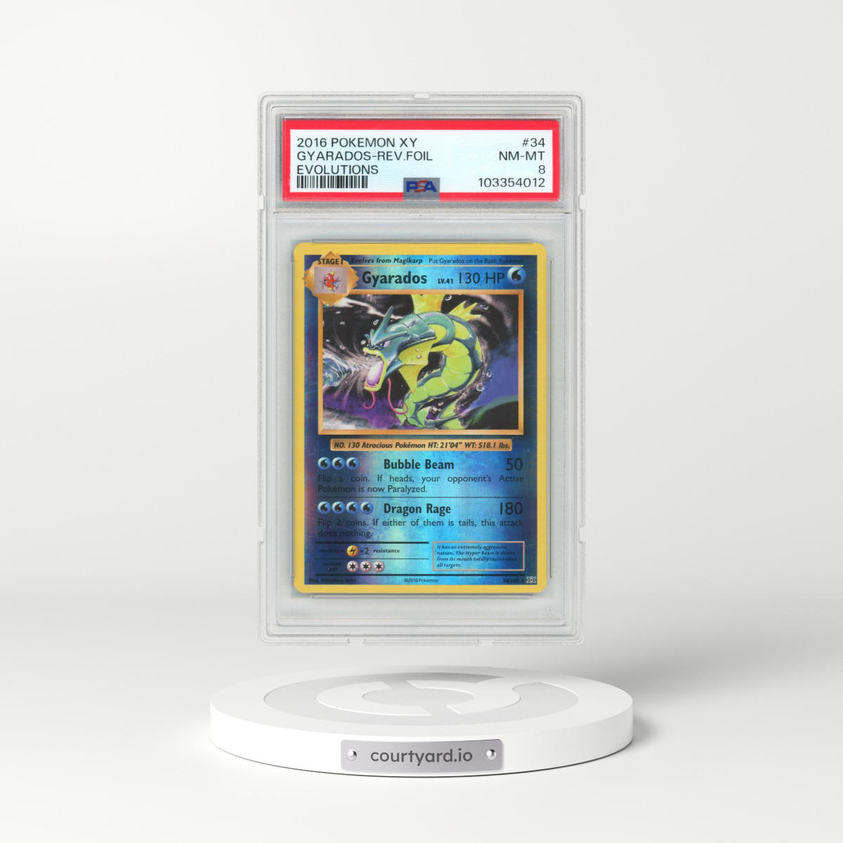2016 Pokémon XY Evolutions #34 Gyarados - Reverse Foil (PSA 8 NM-MT)