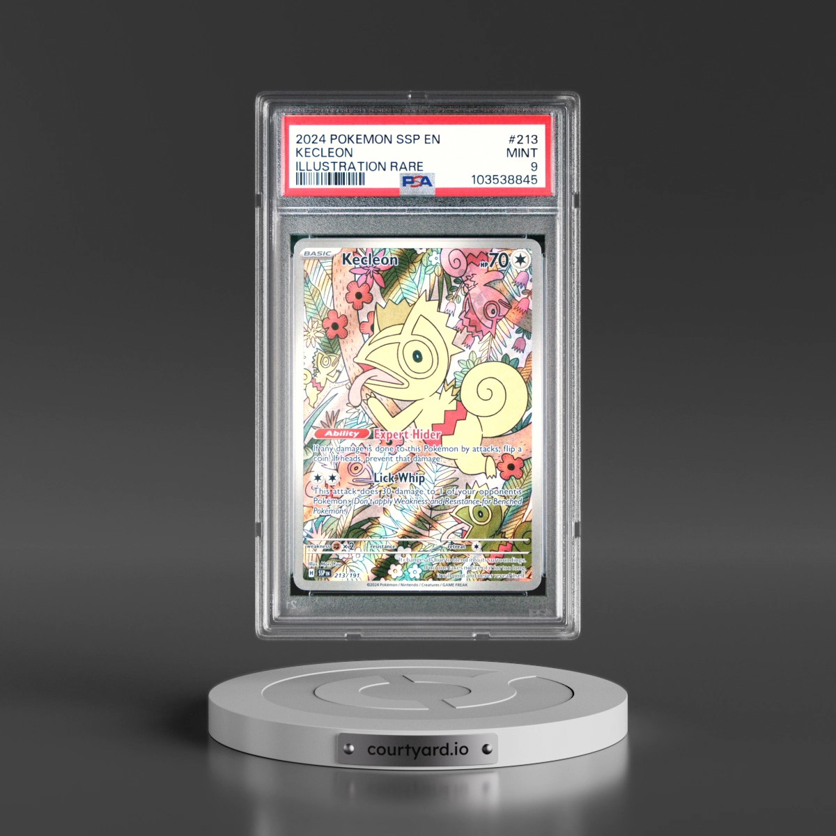 2024 Pokémon Ssp EN-Surging Sparks #213 Kecleon - Illustration Rare (PSA 9 MINT)