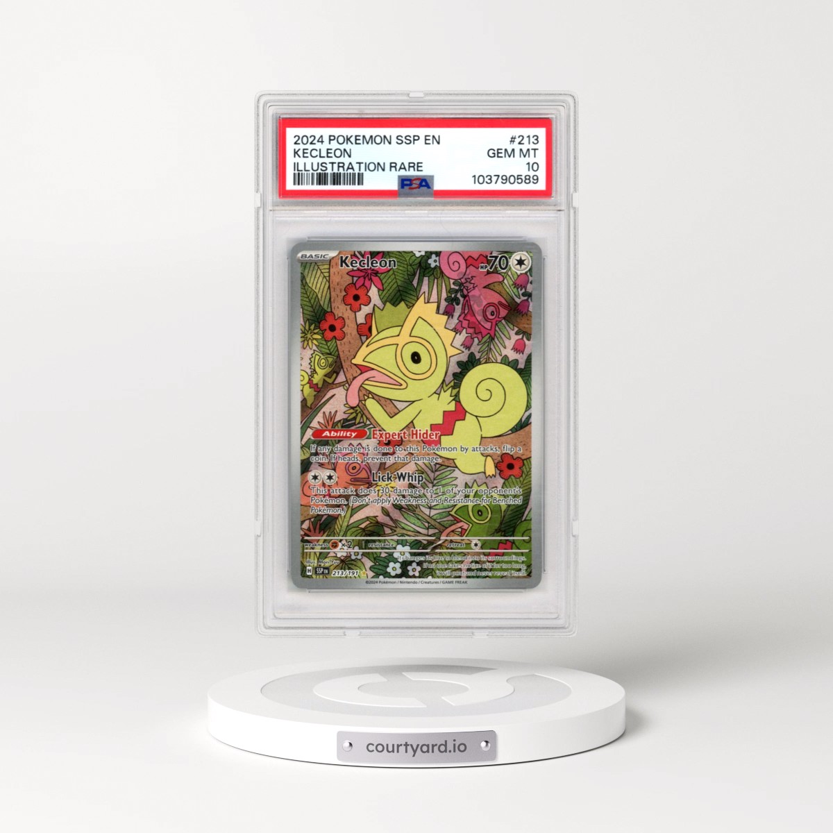 2024 Pokémon Ssp EN-Surging Sparks #213 Kecleon - Illustration Rare (PSA 10 GEM MINT)