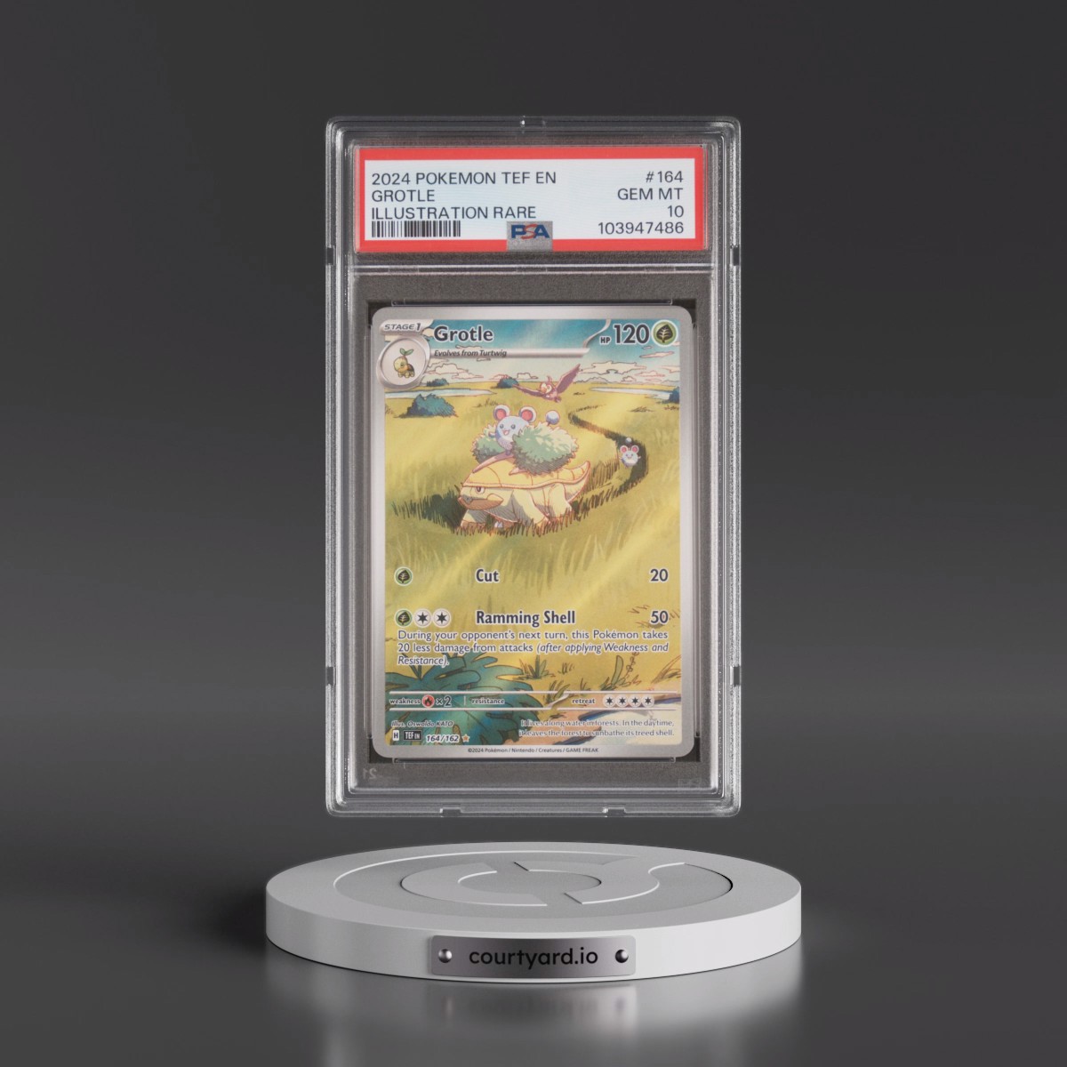 2024 Pokémon Tef EN-Temporal Forces #164 Grotle - Illustration Rare (PSA 10 GEM MINT)