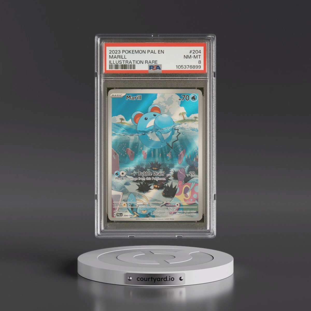 2023 Pokémon Pal EN-Paldea Evolved #204 Marill - Illustration Rare (PSA 8 NM-MT)