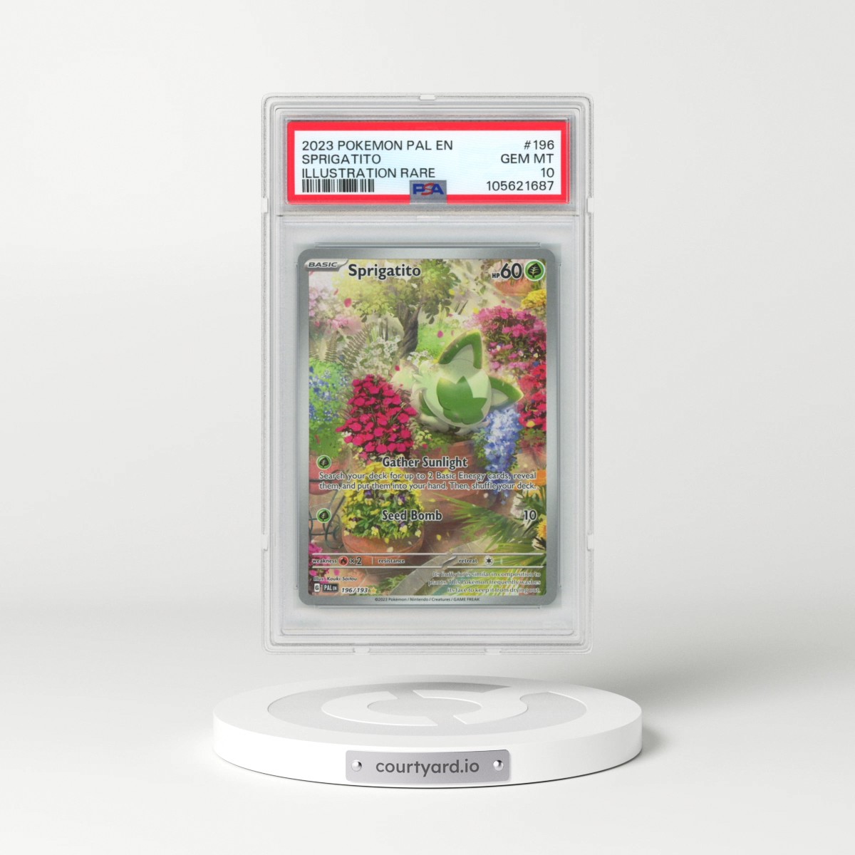 2023 Pokémon Pal EN-Paldea Evolved #196 Sprigatito - Illustration Rare (PSA 10 GEM MINT)