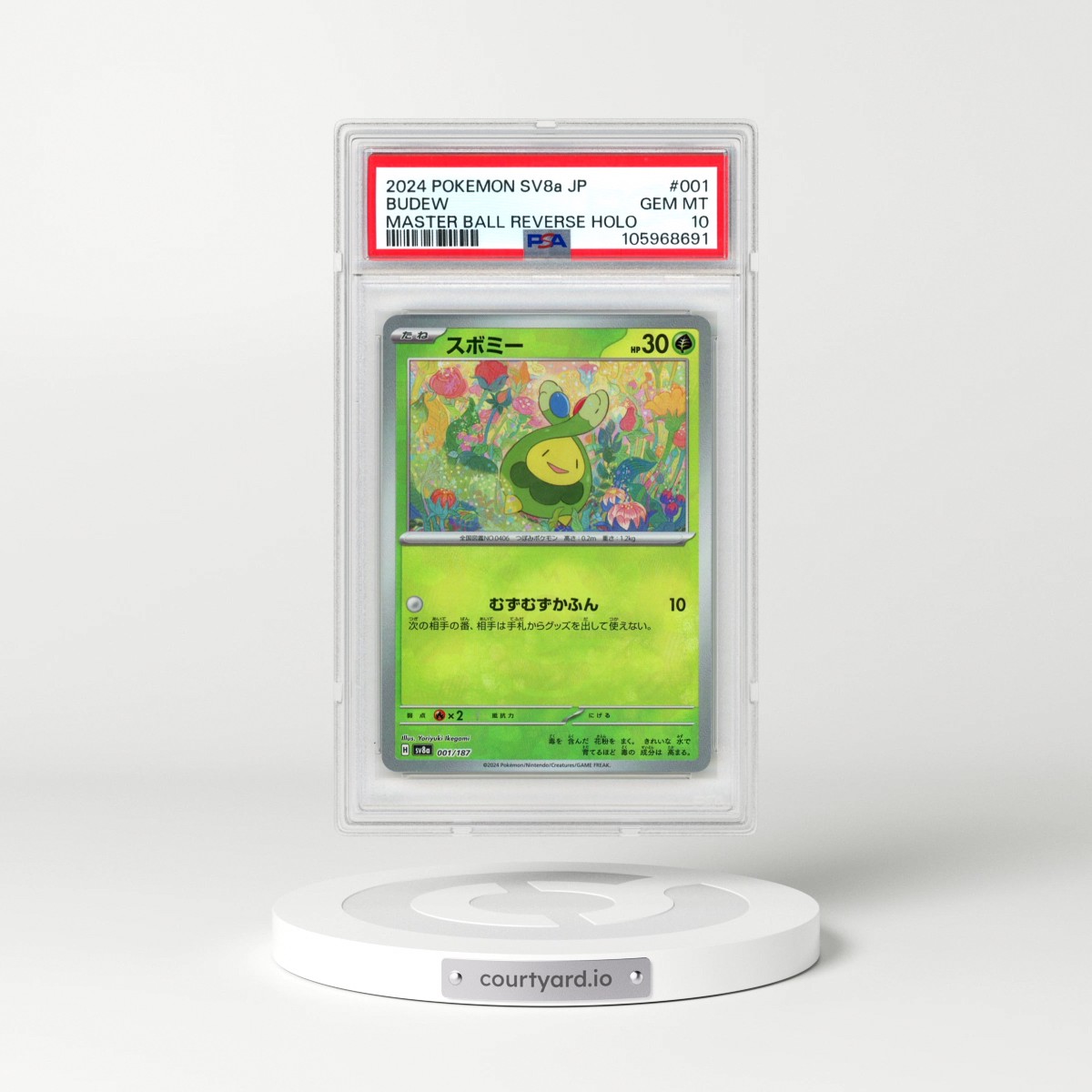 2024 Pokémon Sv8a-Terastal Fest EX #001 Budew - Reverse Holo Master Ball (PSA 10 GEM MINT)