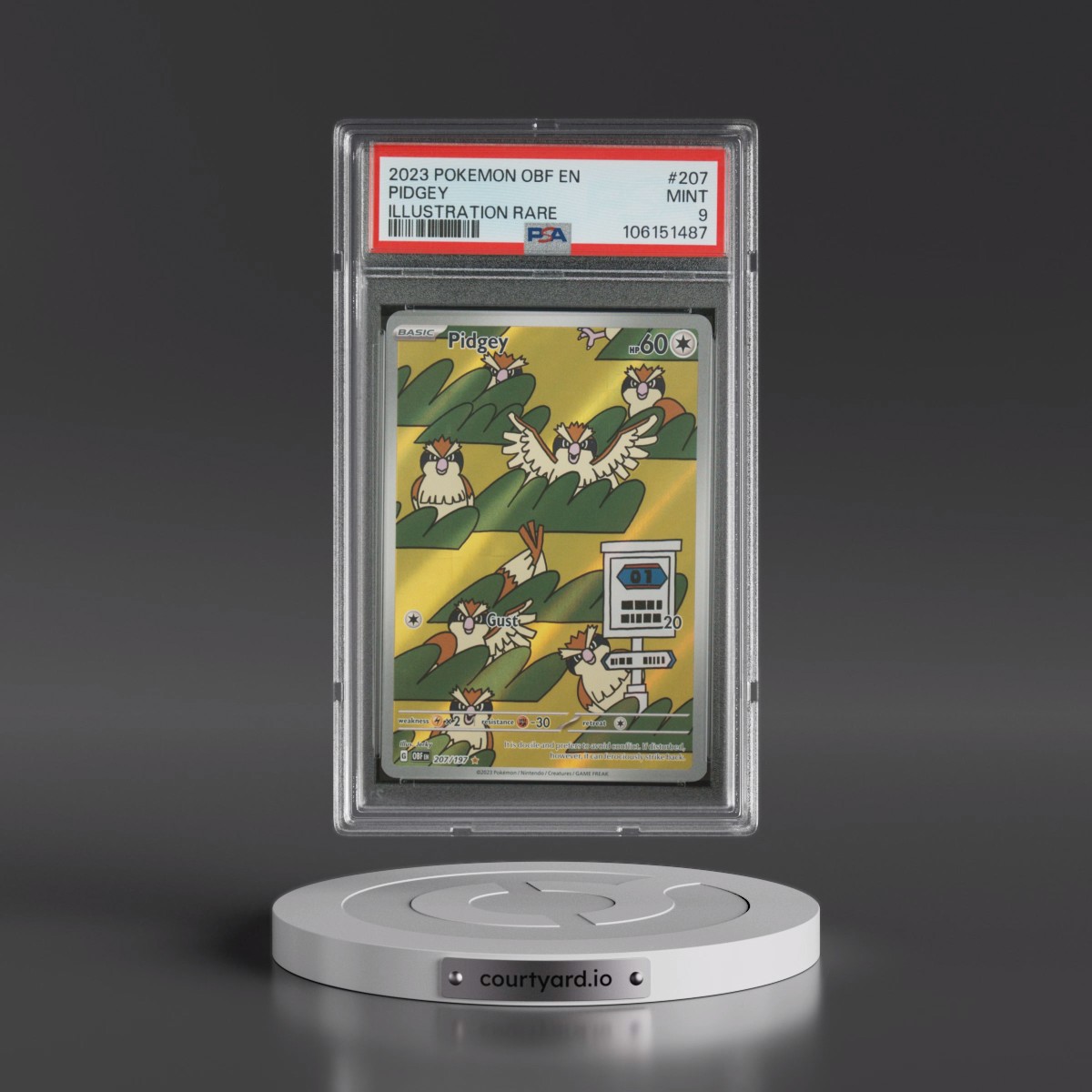 2023 Pokémon Obf EN-Obsidian Flames #207 Pidgey - Illustration Rare (PSA 9 MINT)