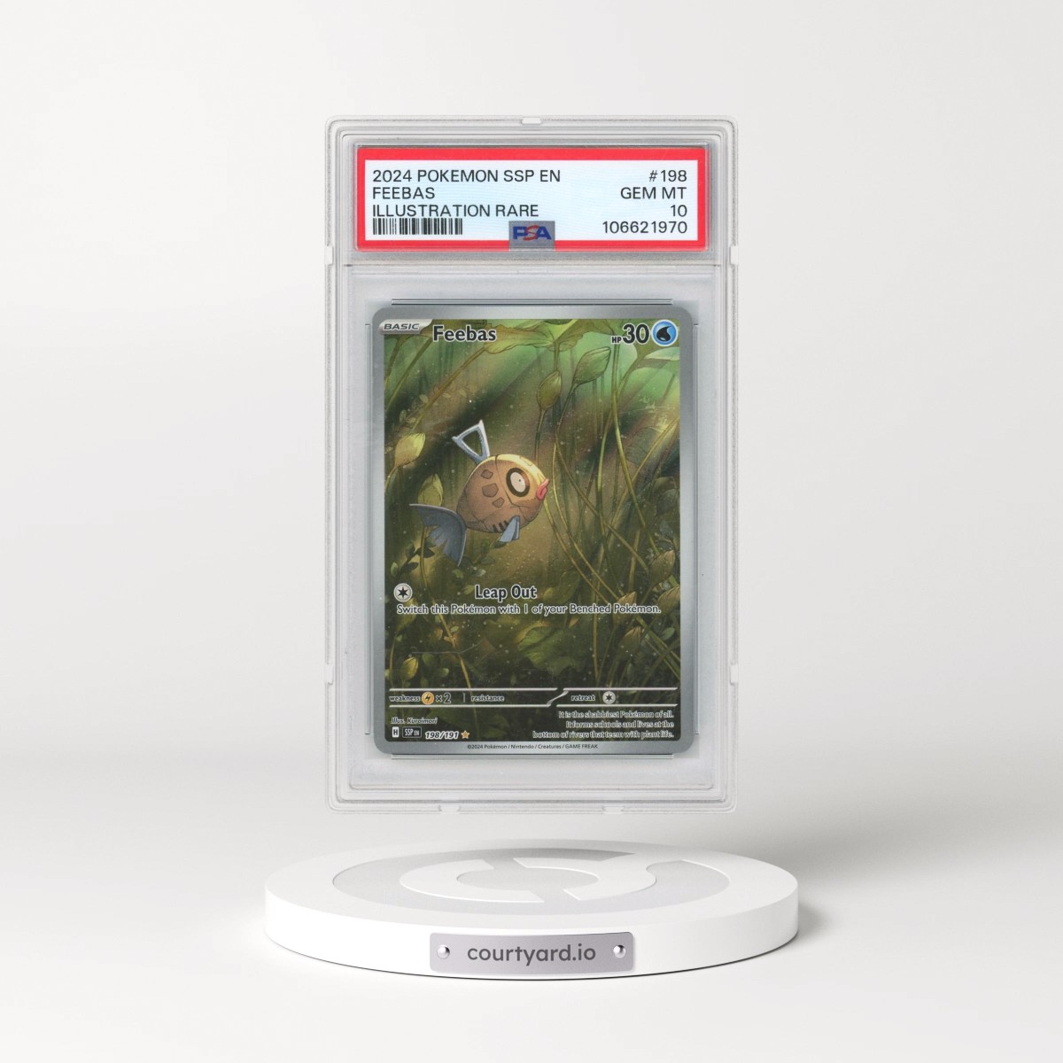 2024 Pokémon Ssp EN-Surging Sparks #198 Feebas - Illustration Rare (PSA 10 GEM MINT)