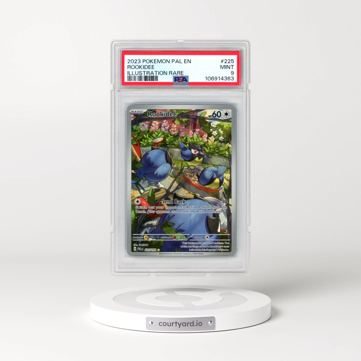2023 Pokémon Pal EN-Paldea Evolved #225 Rookidee - Illustration Rare (PSA 9 MINT)