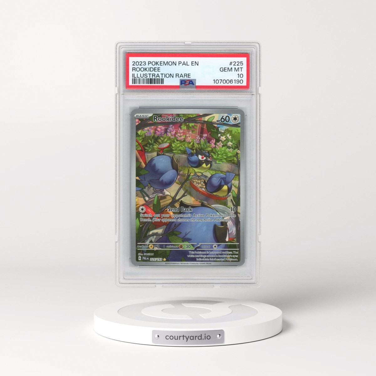 2023 Pokémon Pal EN-Paldea Evolved #225 Rookidee - Illustration Rare (PSA 10 GEM MINT)