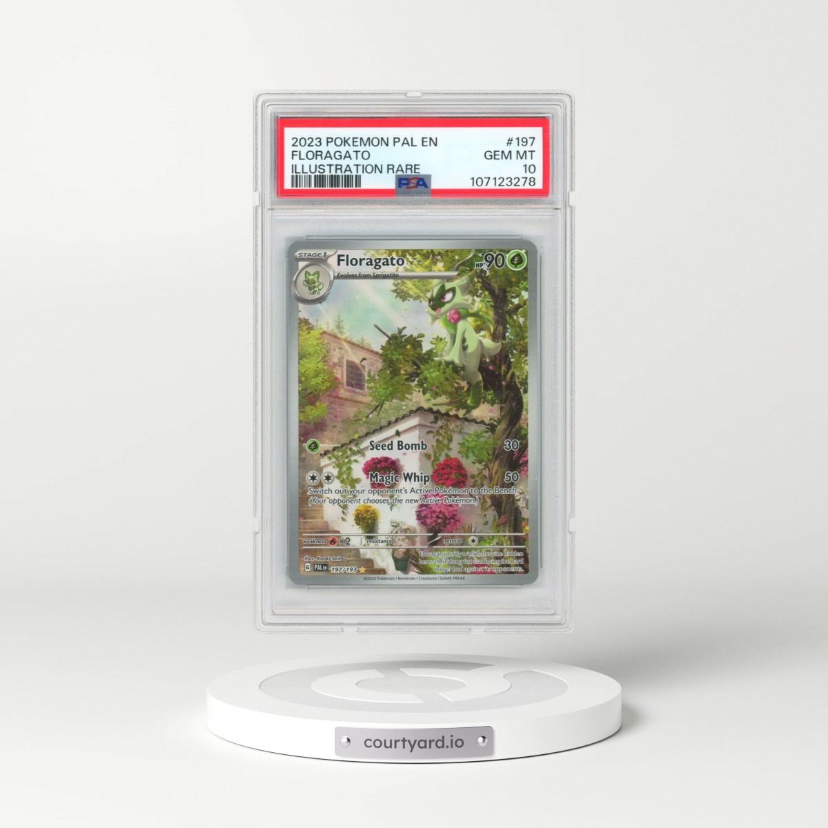 2023 Pokémon Pal EN-Paldea Evolved #197 Floragato - Illustration Rare (PSA 10 GEM MINT)