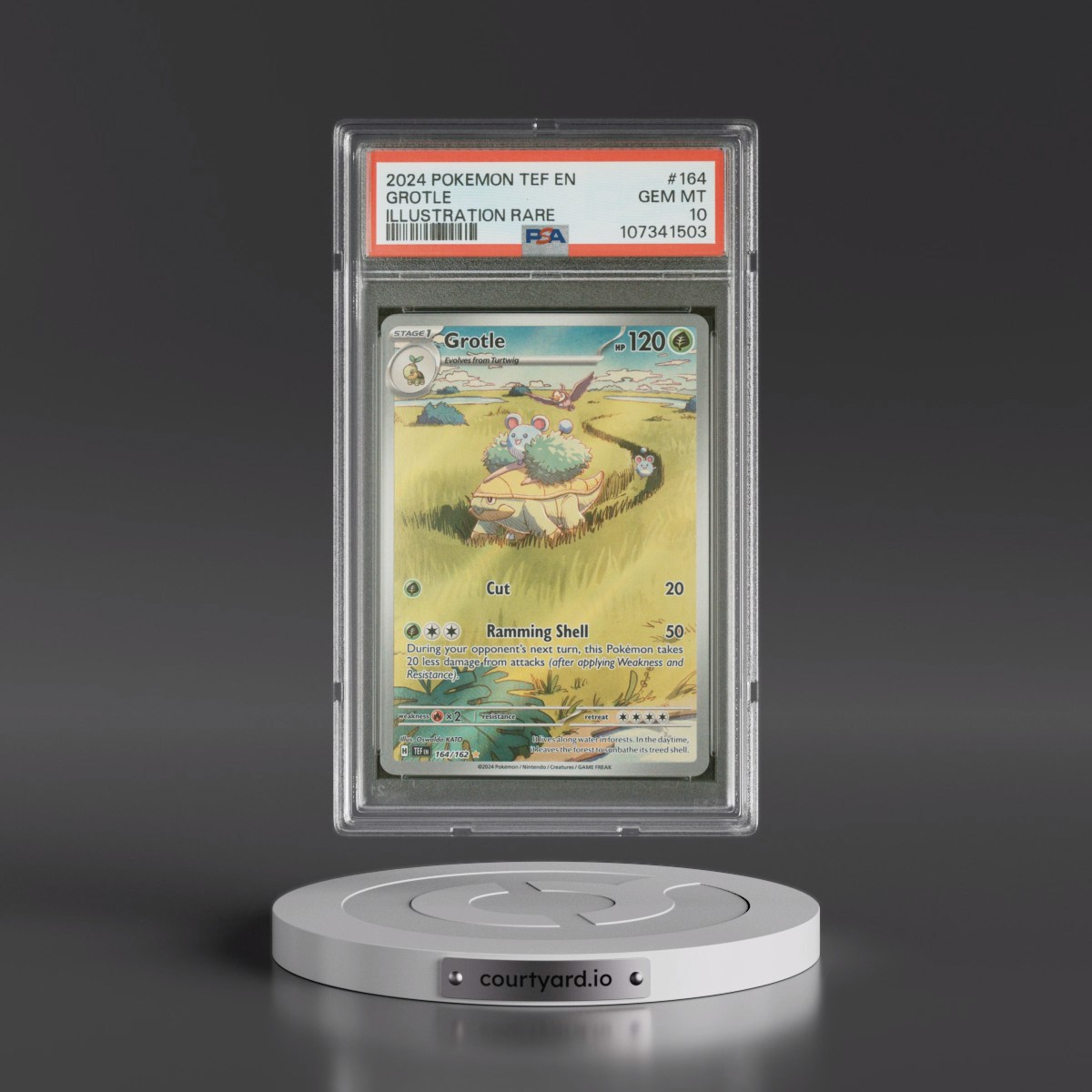 2024 Pokémon Tef EN-Temporal Forces #164 Grotle - Illustration Rare (PSA 10 GEM MINT)