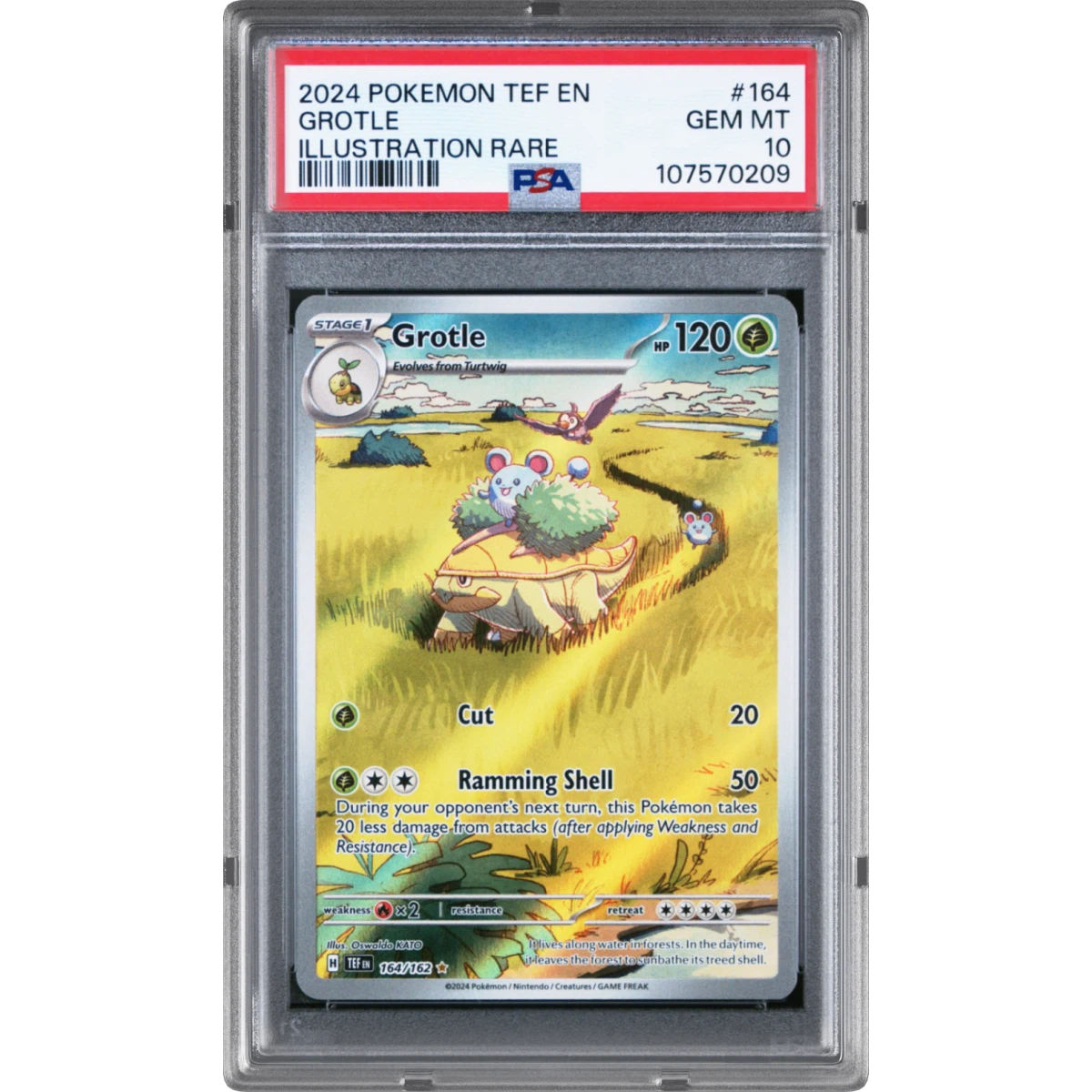 2024 Pokémon Tef EN-Temporal Forces #164 Grotle - Illustration Rare (PSA 10 GEM MINT)