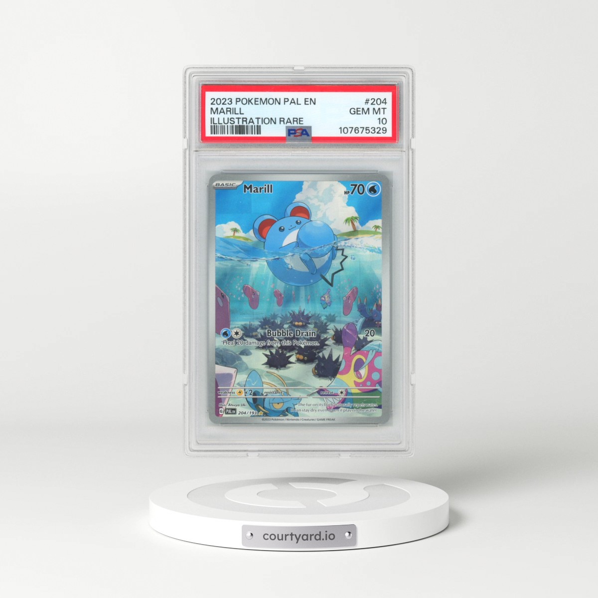 2023 Pokémon Pal EN-Paldea Evolved #204 Marill - Illustration Rare (PSA 10 GEM MINT)
