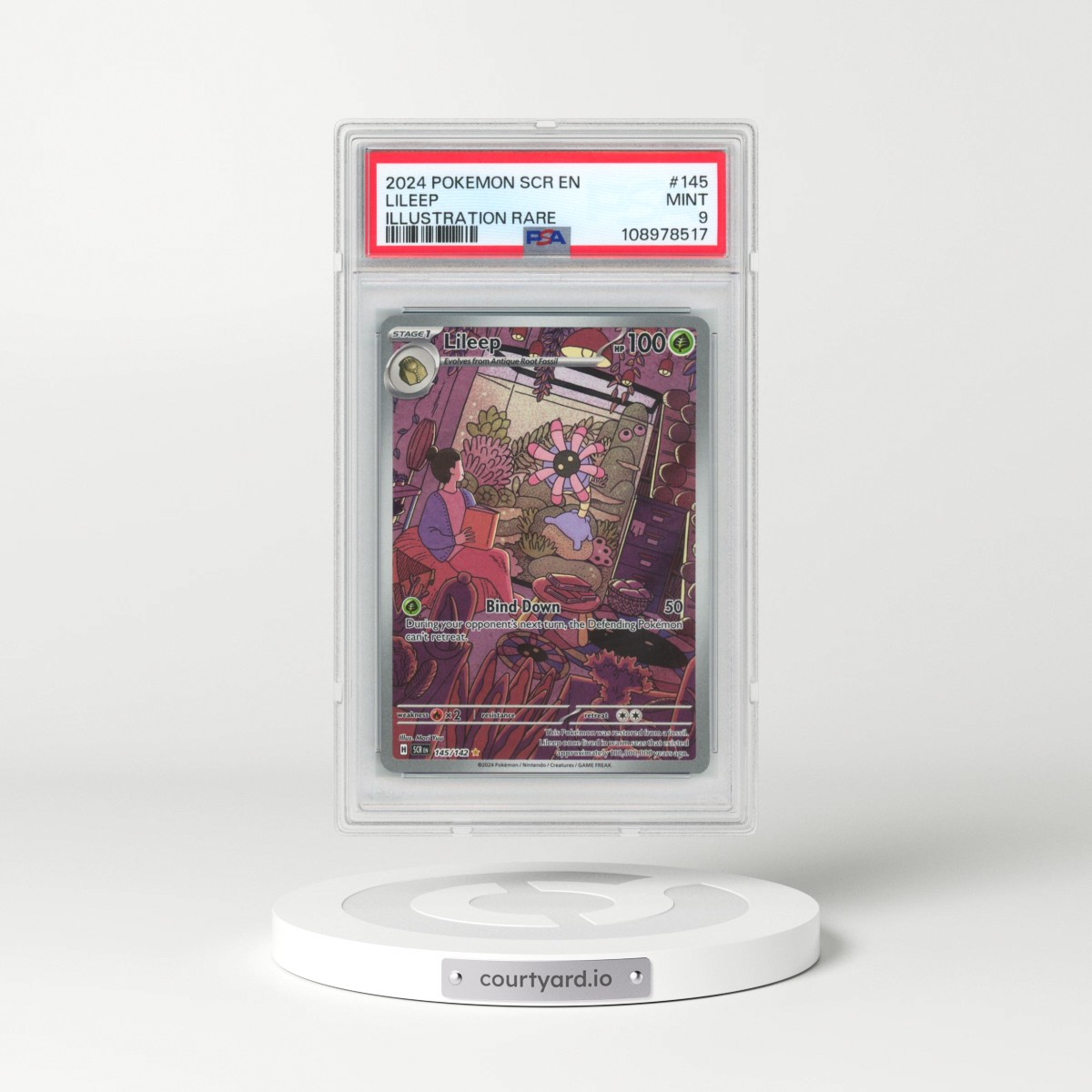 2024 Pokémon Scr EN-Stellar Crown #145 Lileep - Illustration Rare (PSA 9 MINT)