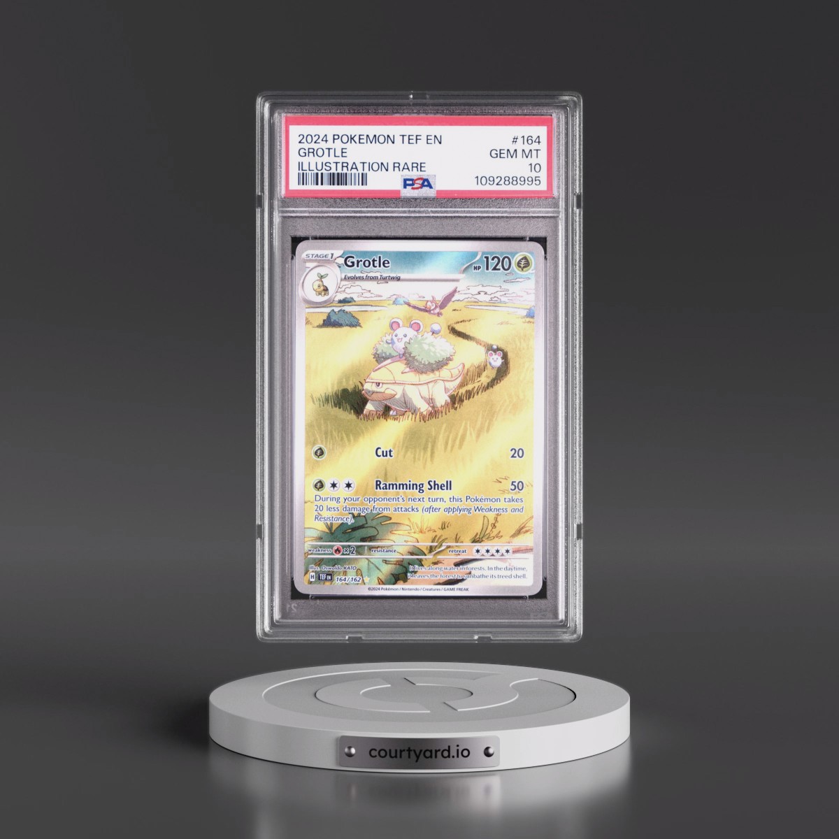 2024 Pokémon Tef EN-Temporal Forces #164 Grotle - Illustration Rare (PSA 10 GEM MINT)