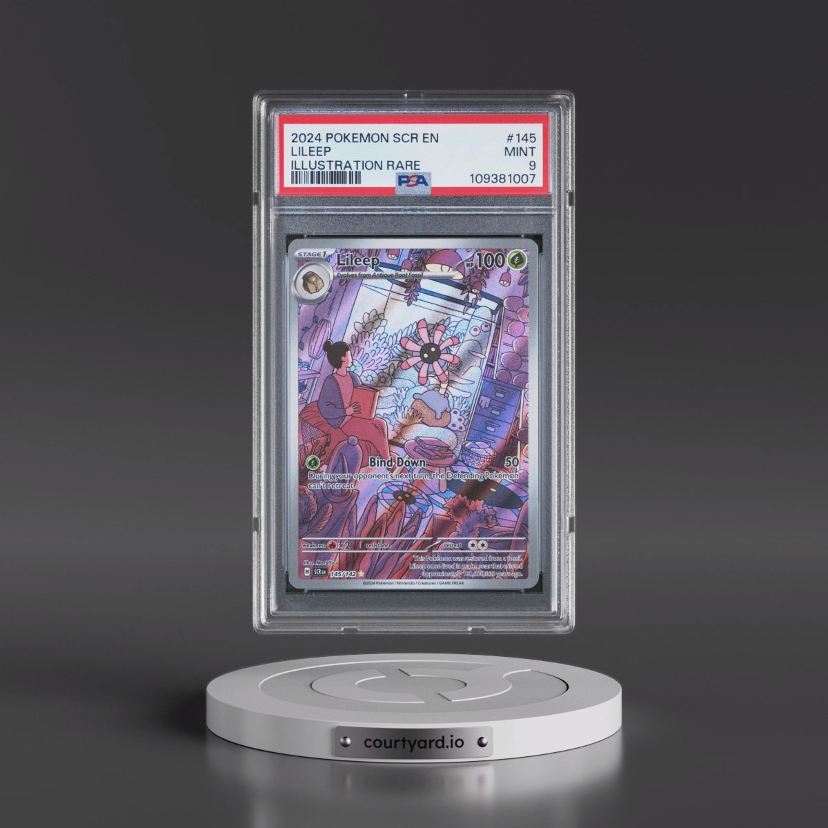 2024 Pokémon Scr EN-Stellar Crown #145 Lileep - Illustration Rare (PSA 9 MINT)