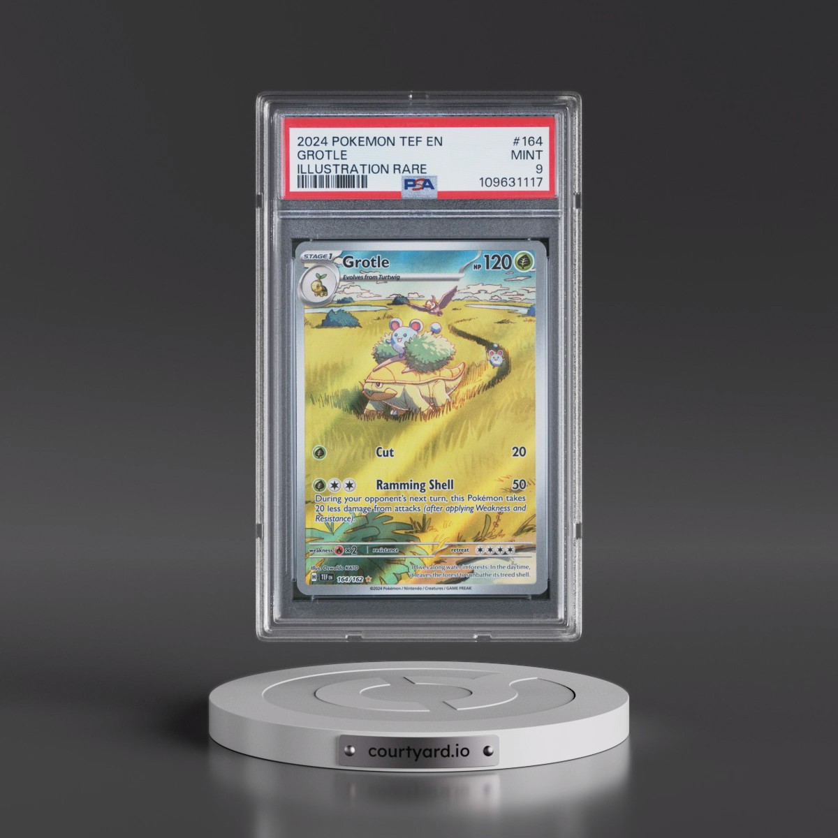 2024 Pokémon Tef EN-Temporal Forces #164 Grotle - Illustration Rare (PSA 9 MINT)