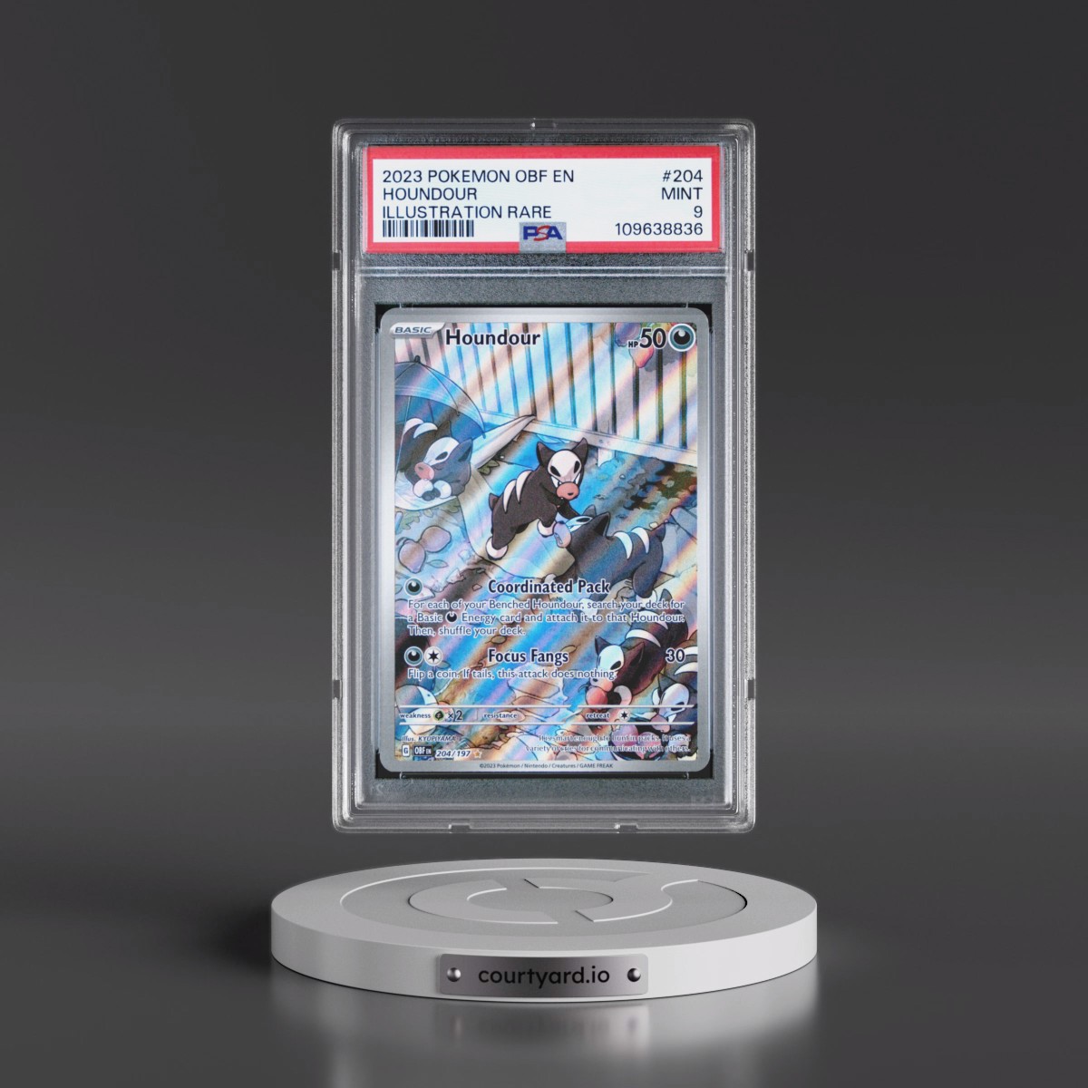 2023 Pokémon Obf EN-Obsidian Flames #204 Houndour - Illustration Rare (PSA 9 MINT)